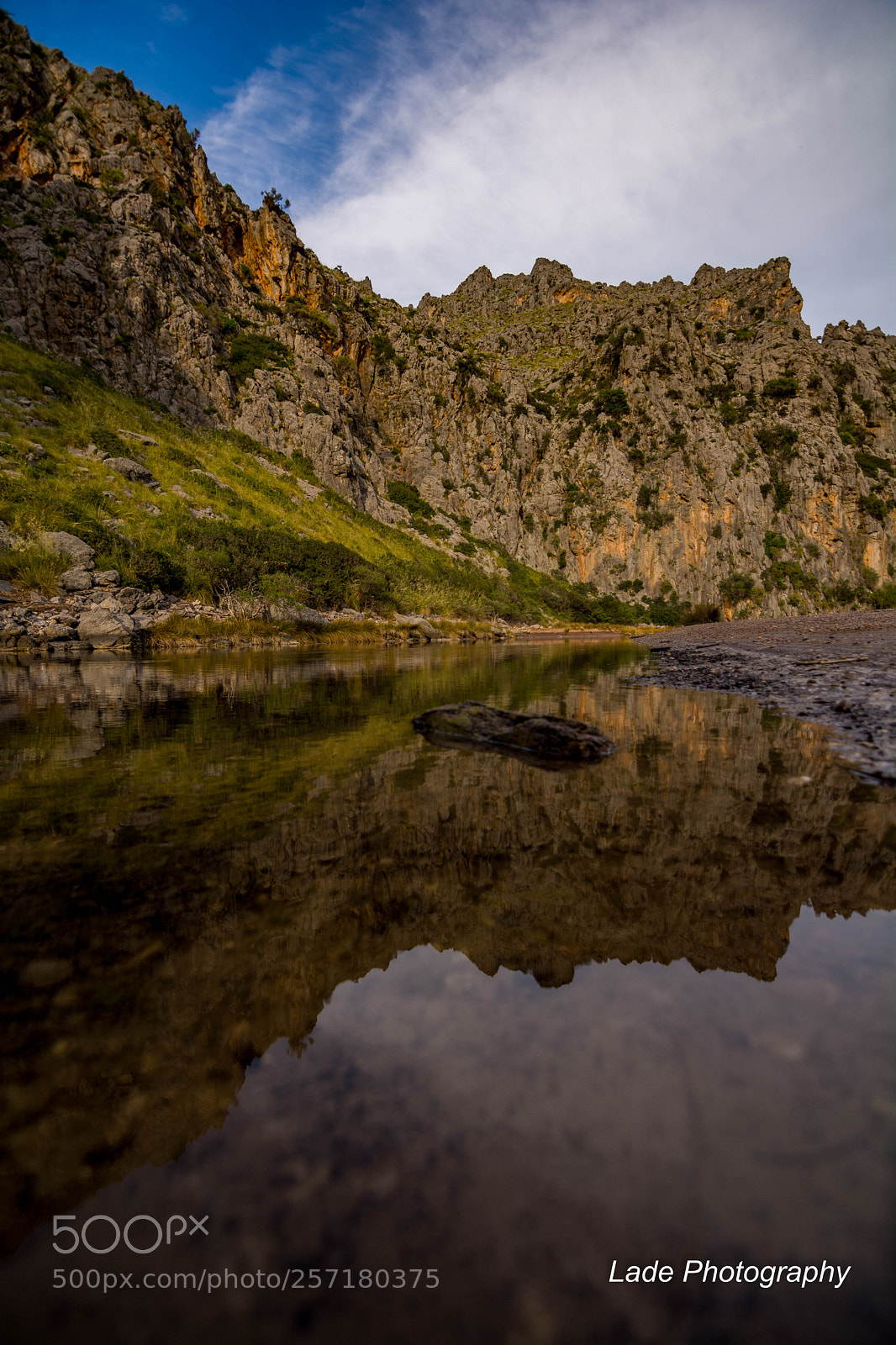 Nikon D7100 sample photo. Reflection photography