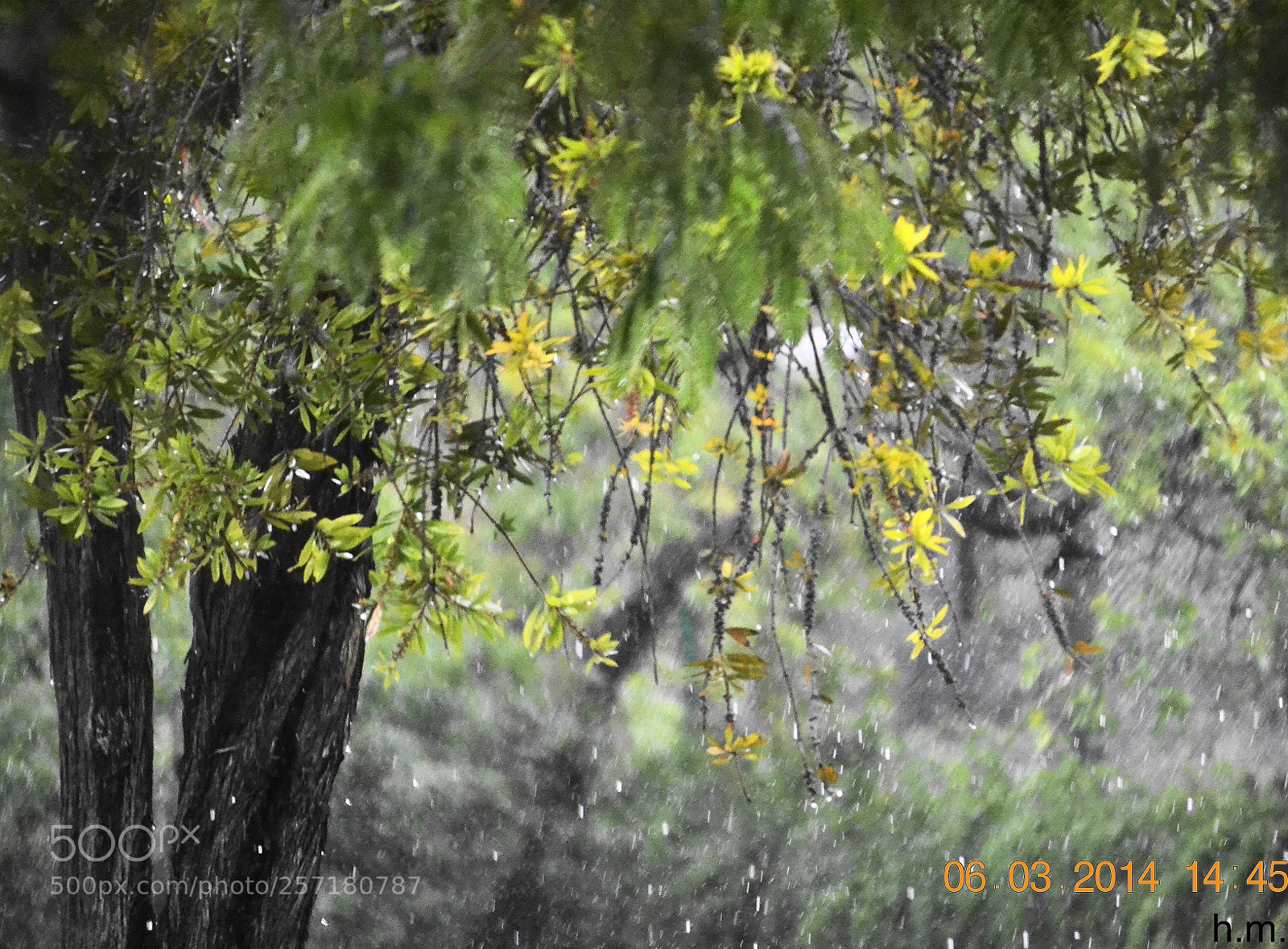Nikon D3100 sample photo. Surrealismo photography