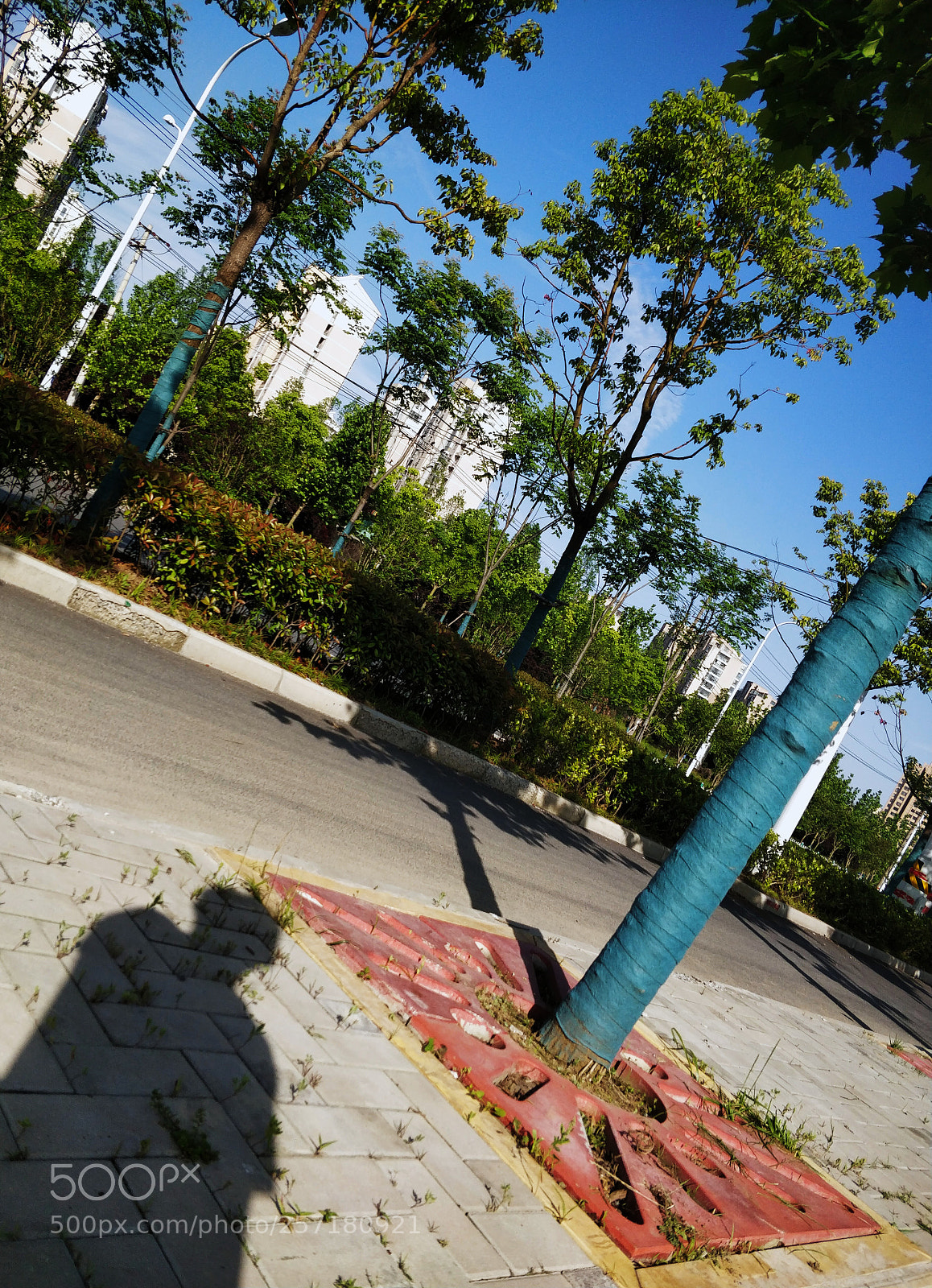 OnePlus 5 sample photo. 影 photography