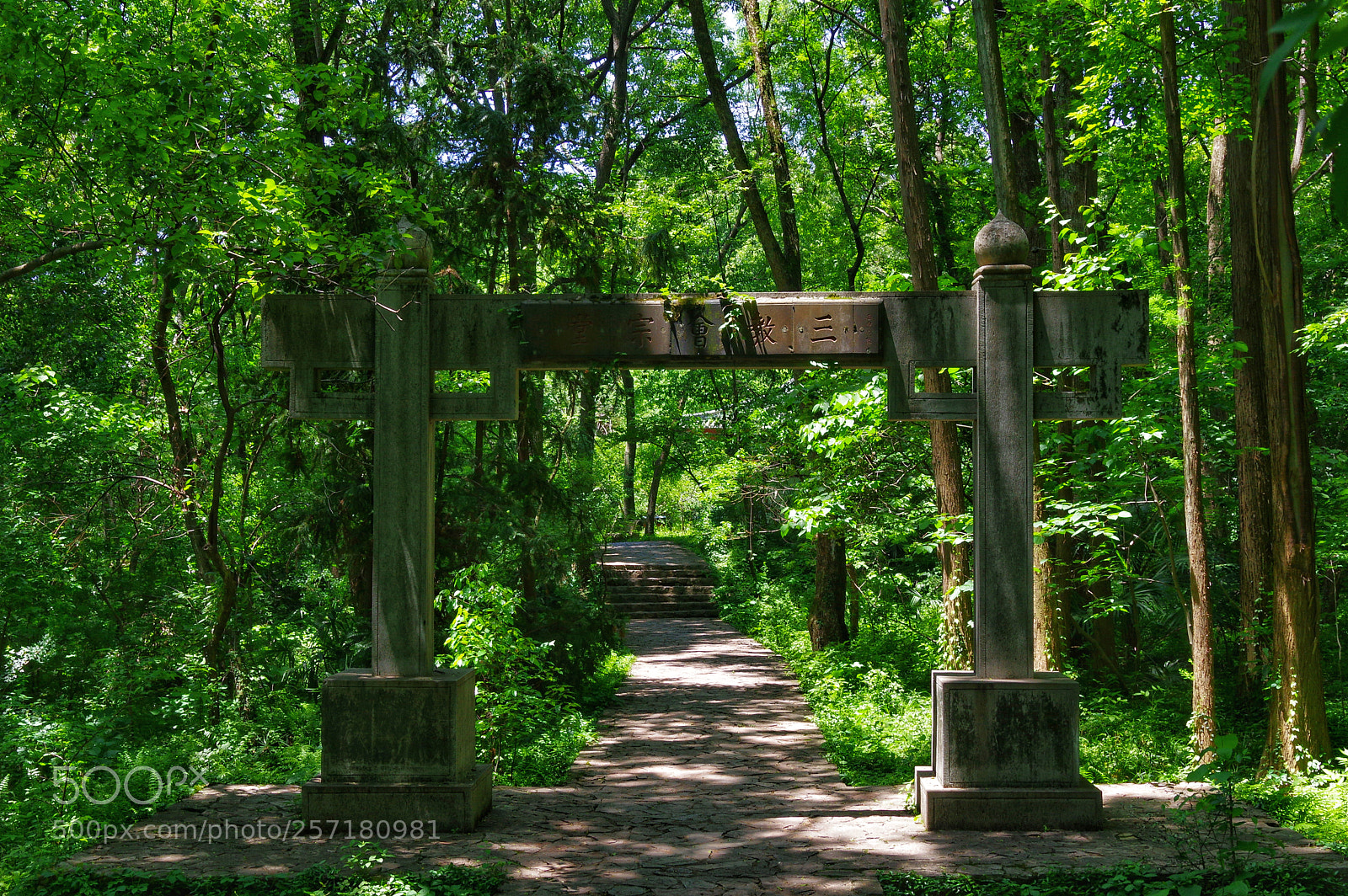 Pentax K-3 II sample photo. Untitled photography