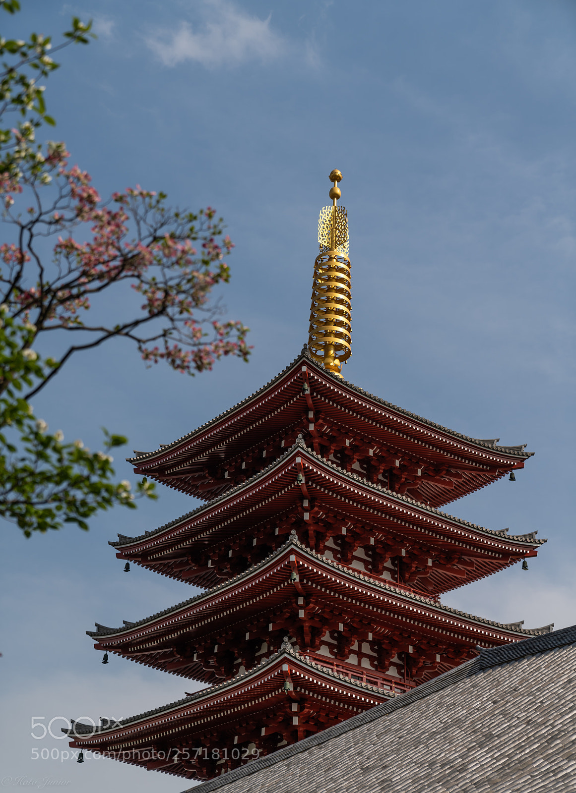 Sony a7R III sample photo. The five-storied pagoda of photography