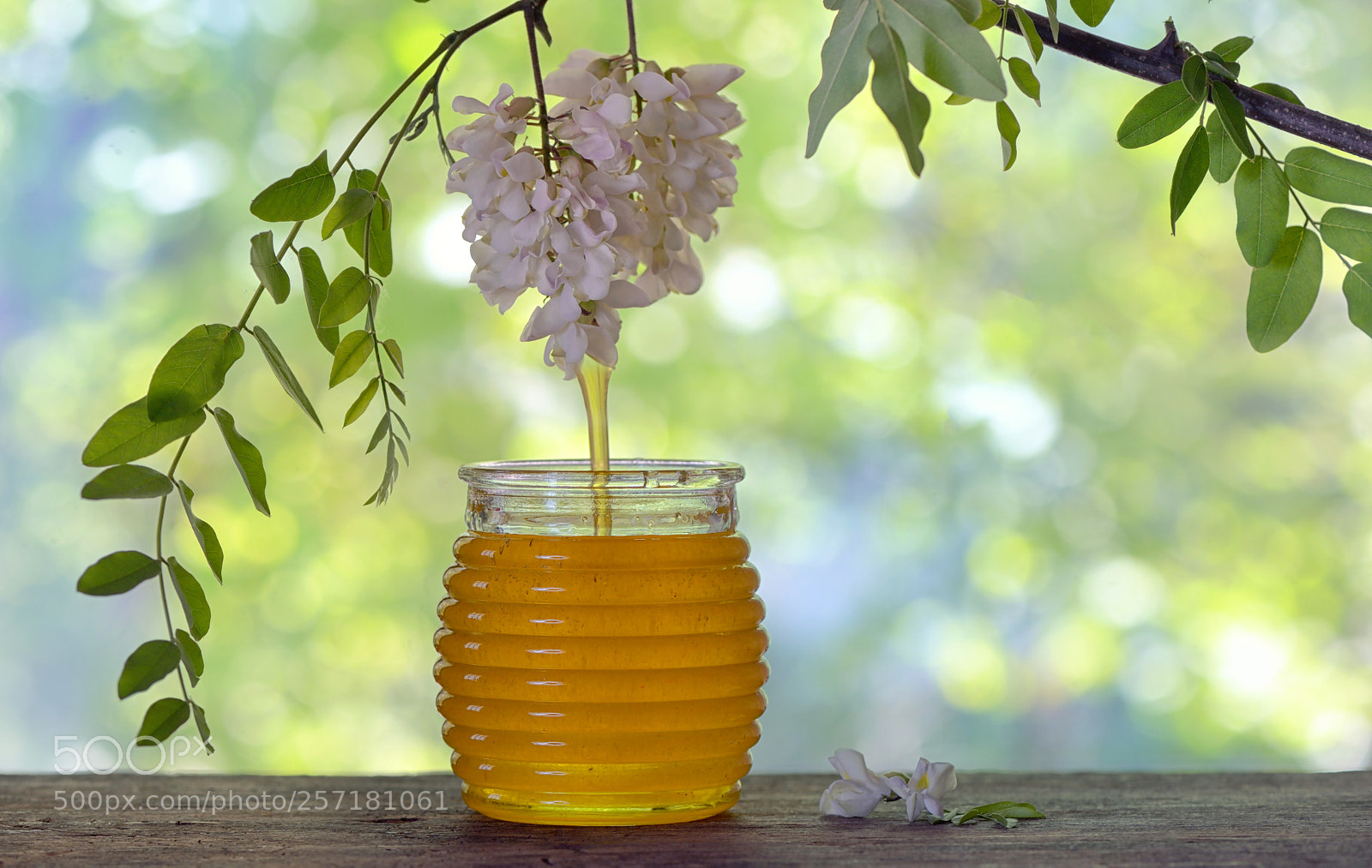 Nikon D610 sample photo. Jar of honey with photography