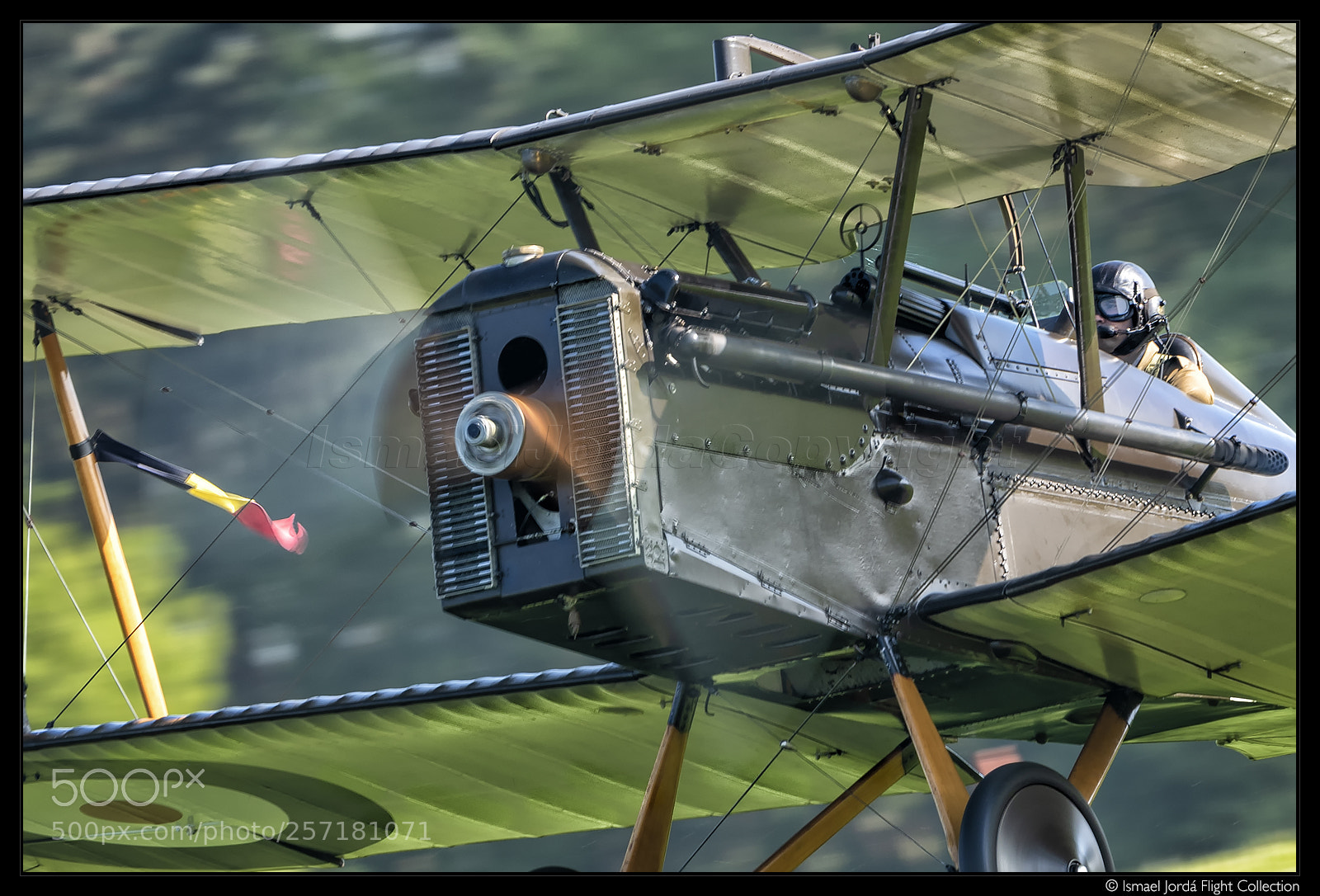 Nikon D810 sample photo. Raf se-5a (2018) photography
