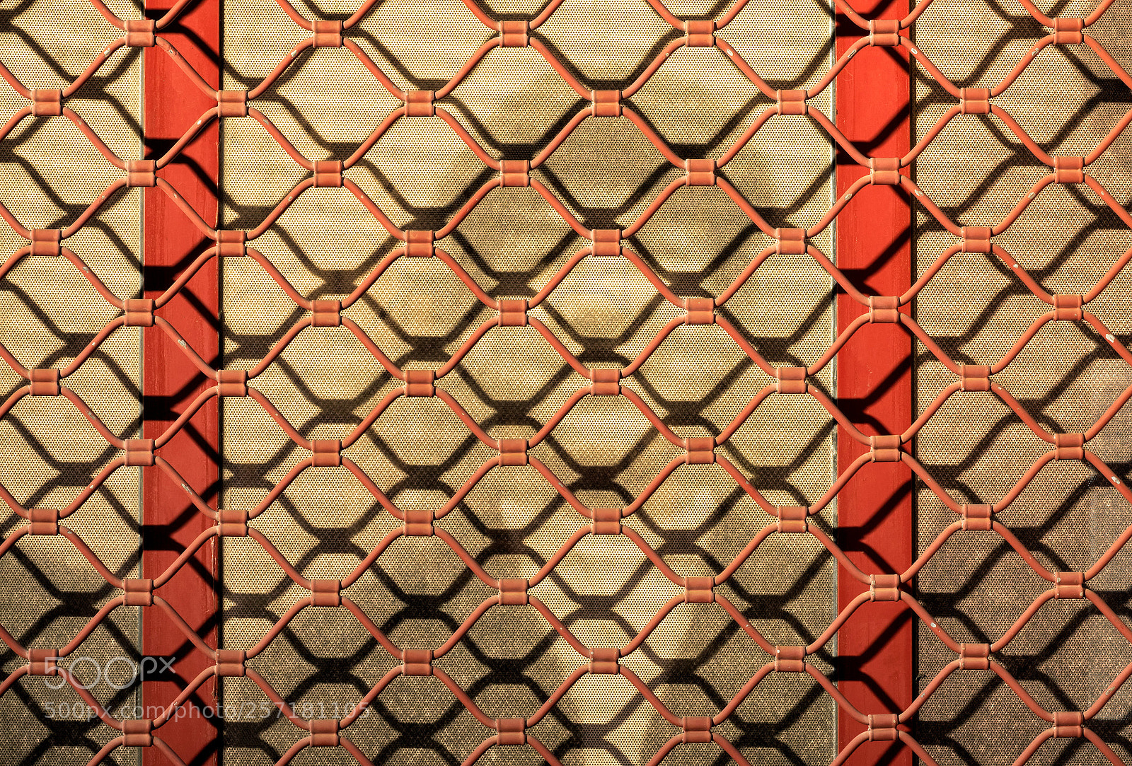 Sony Cyber-shot DSC-RX10 III sample photo. 'and the walrus was photography