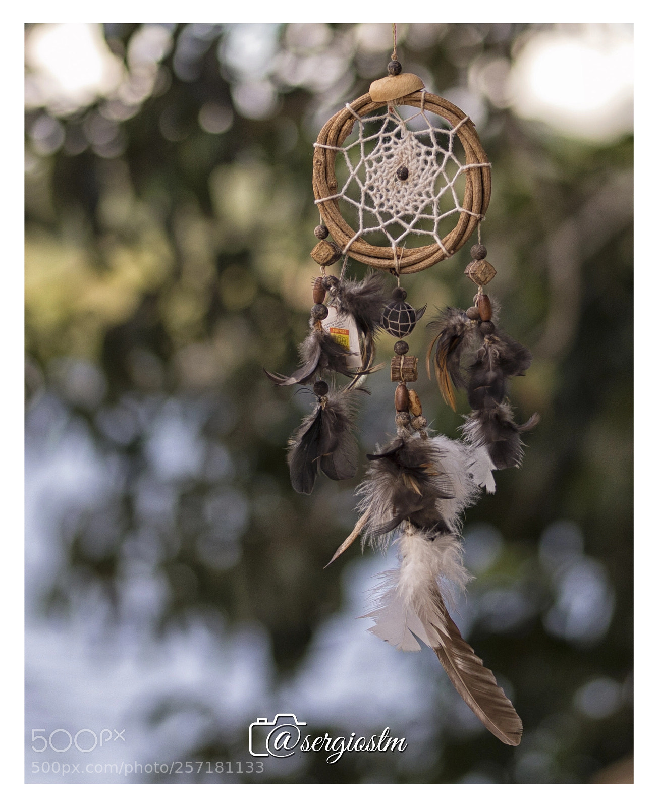 Nikon D610 sample photo. Dreamcatcher  photography