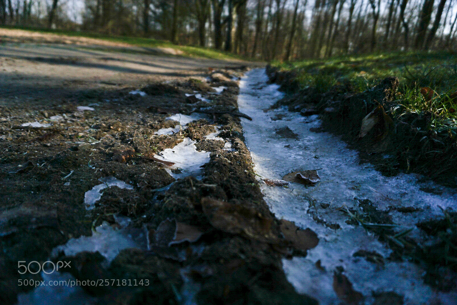Sony a6000 sample photo. Frozen mud photography