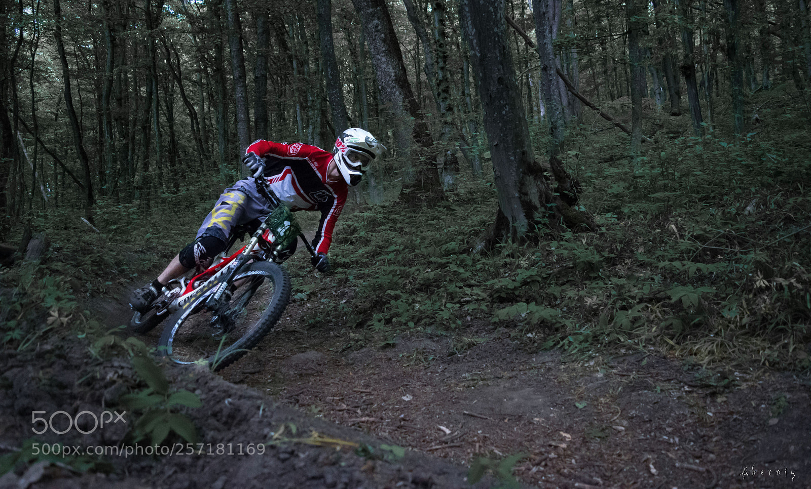 Nikon D3300 sample photo. Downhill photography