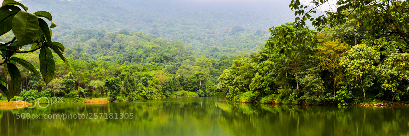 Canon EOS 70D sample photo. Nature beauty photography