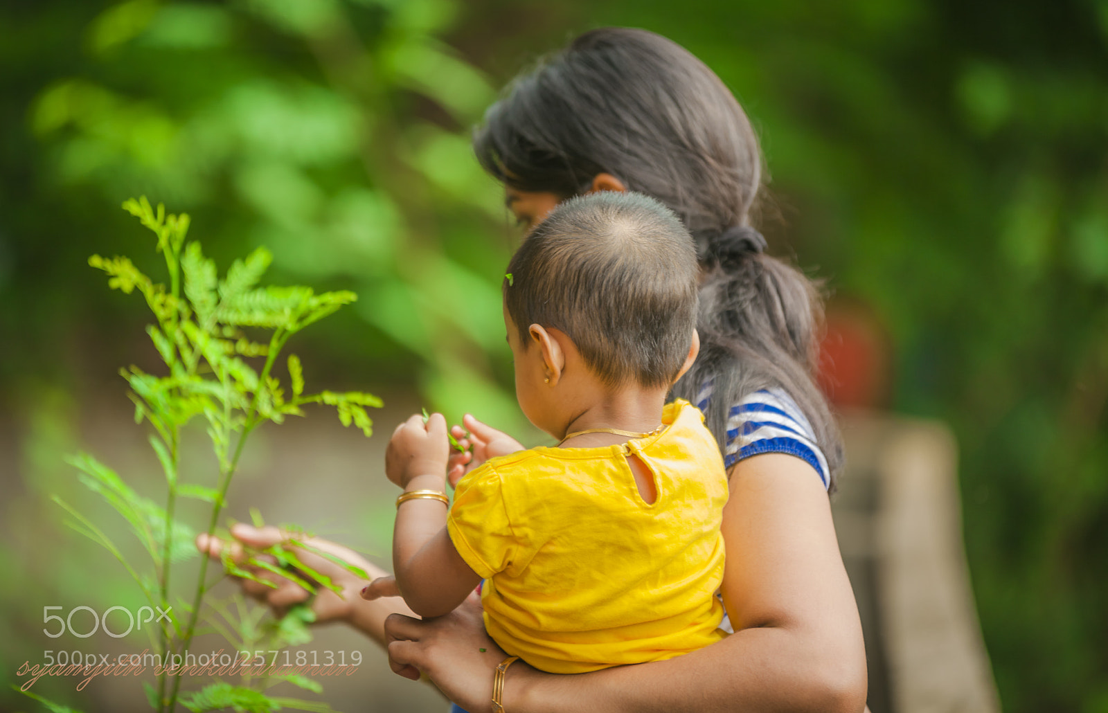 Canon EOS 5D Mark II sample photo. Go green photography