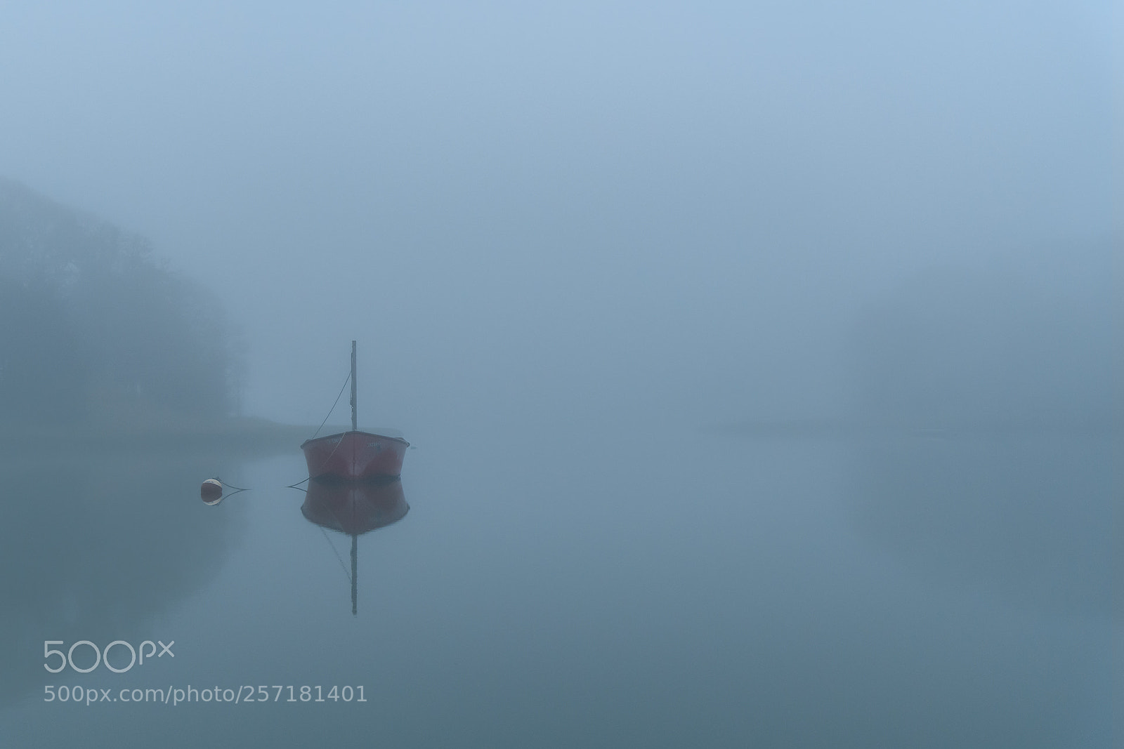 Nikon D850 sample photo. Fog at the harbor photography