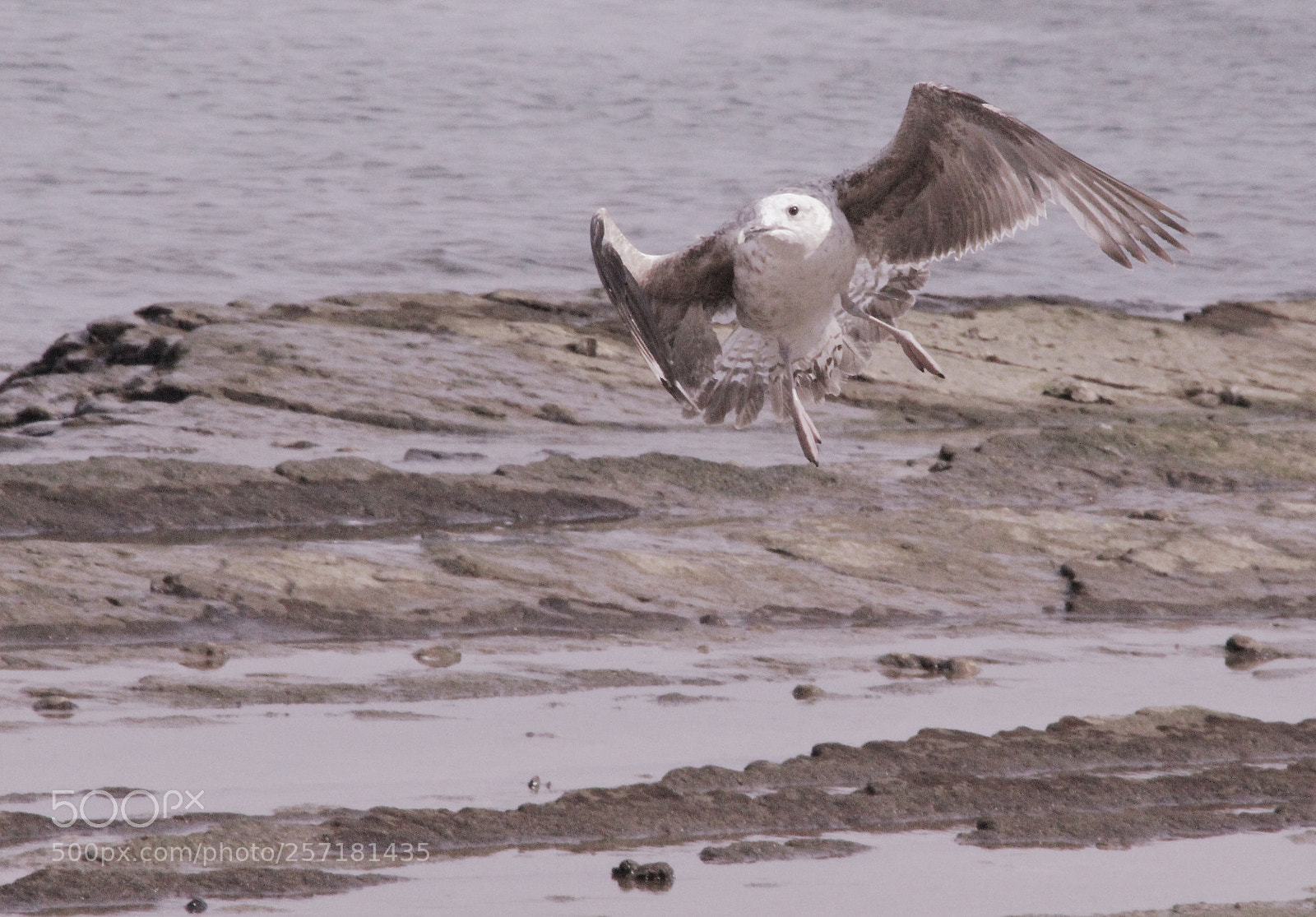 Canon EOS 700D (EOS Rebel T5i / EOS Kiss X7i) sample photo. Escape photography