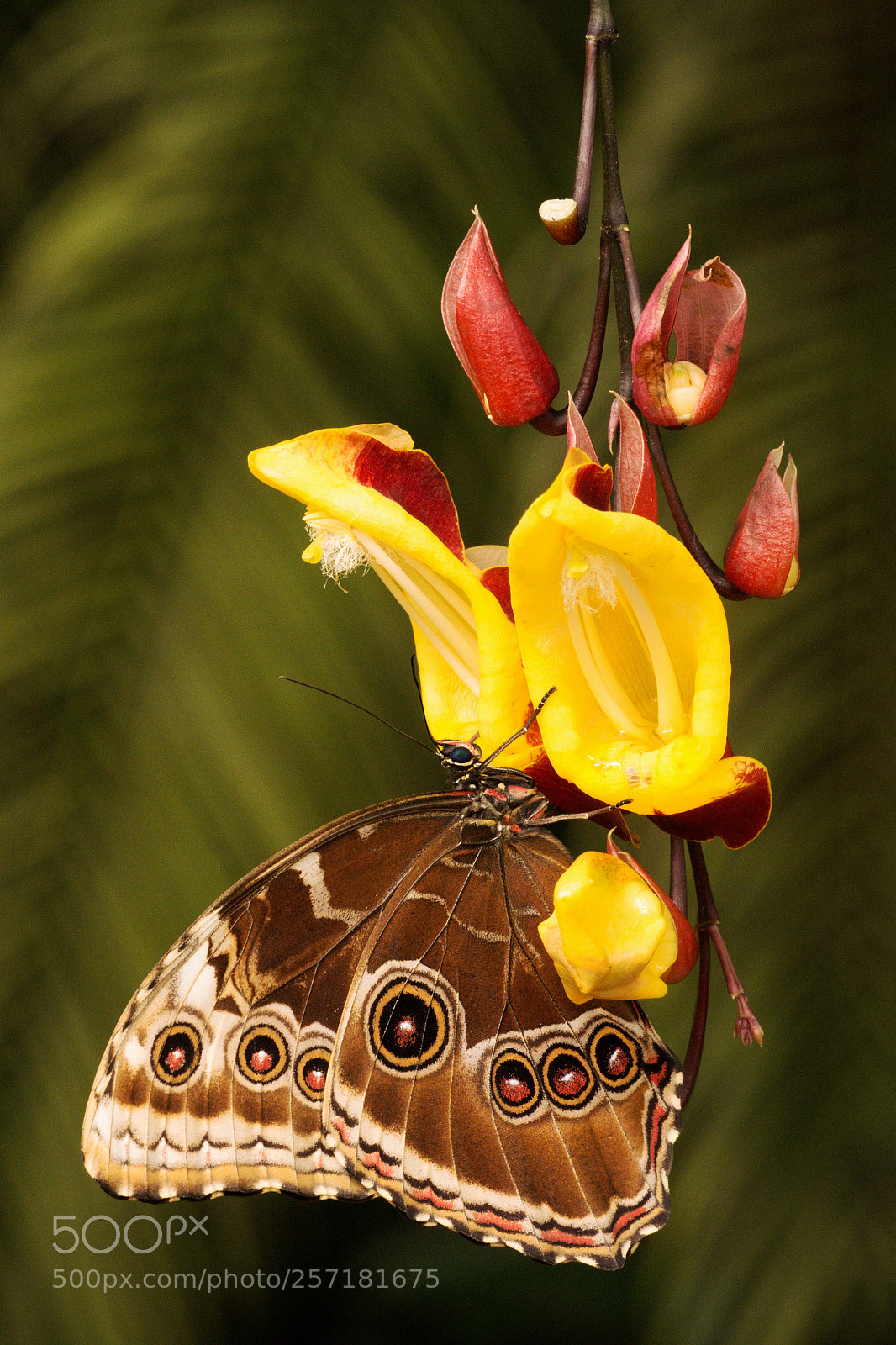 Nikon D7200 sample photo. Colours, forms, and patterns photography