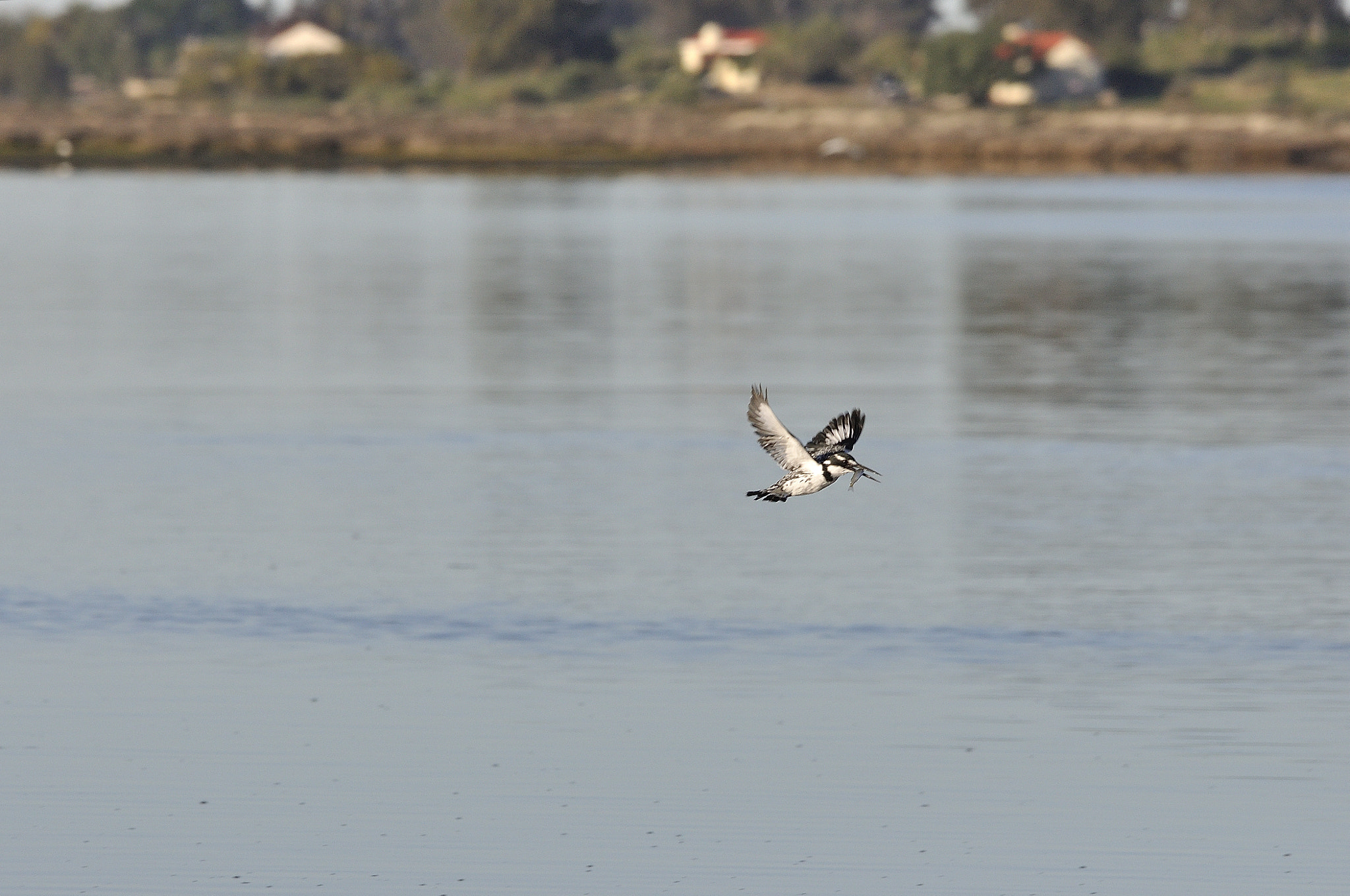 Sigma 120-400mm F4.5-5.6 DG OS HSM sample photo. Breakfast delivery photography