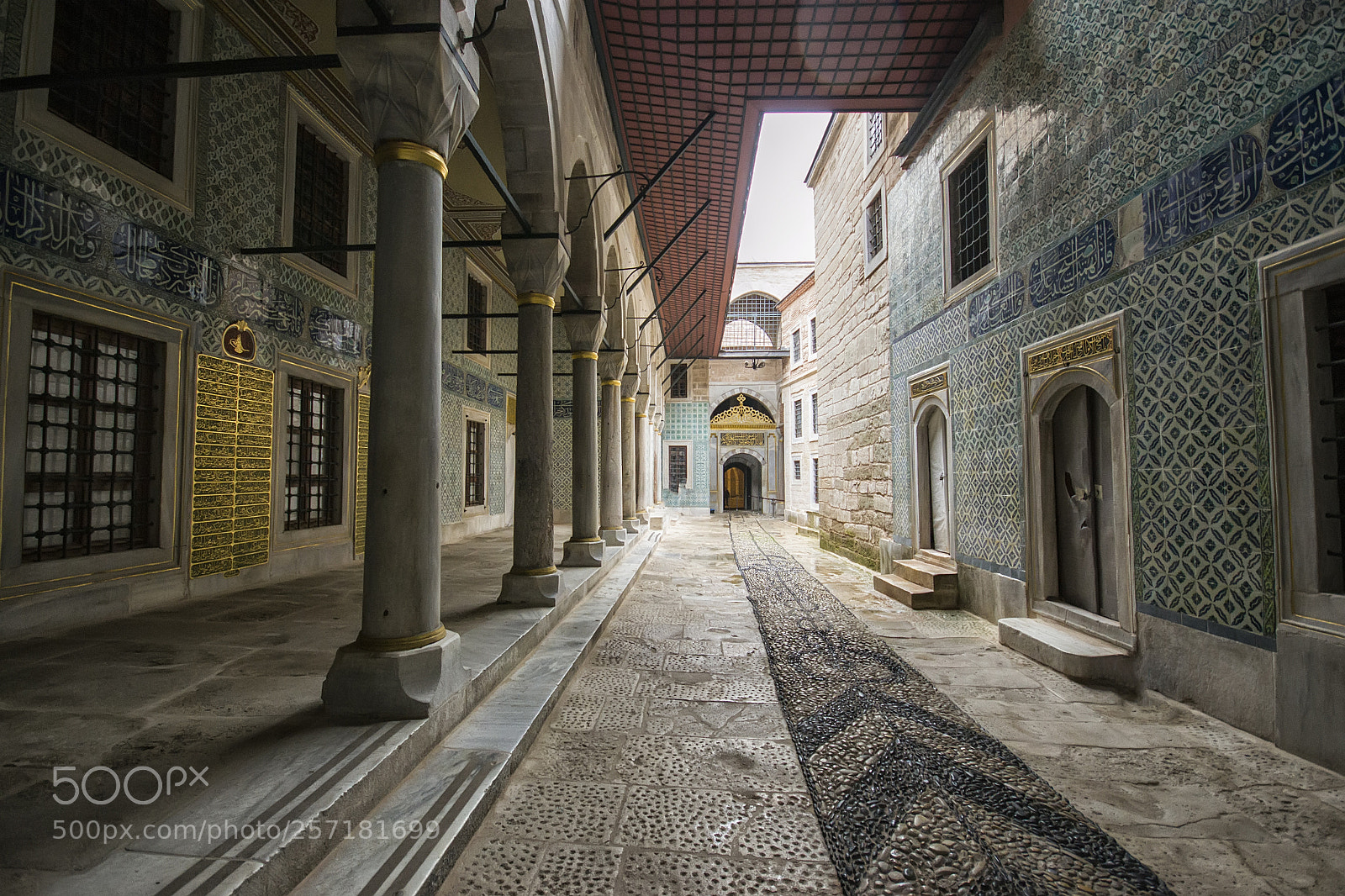 Nikon D3100 sample photo. Harem photography