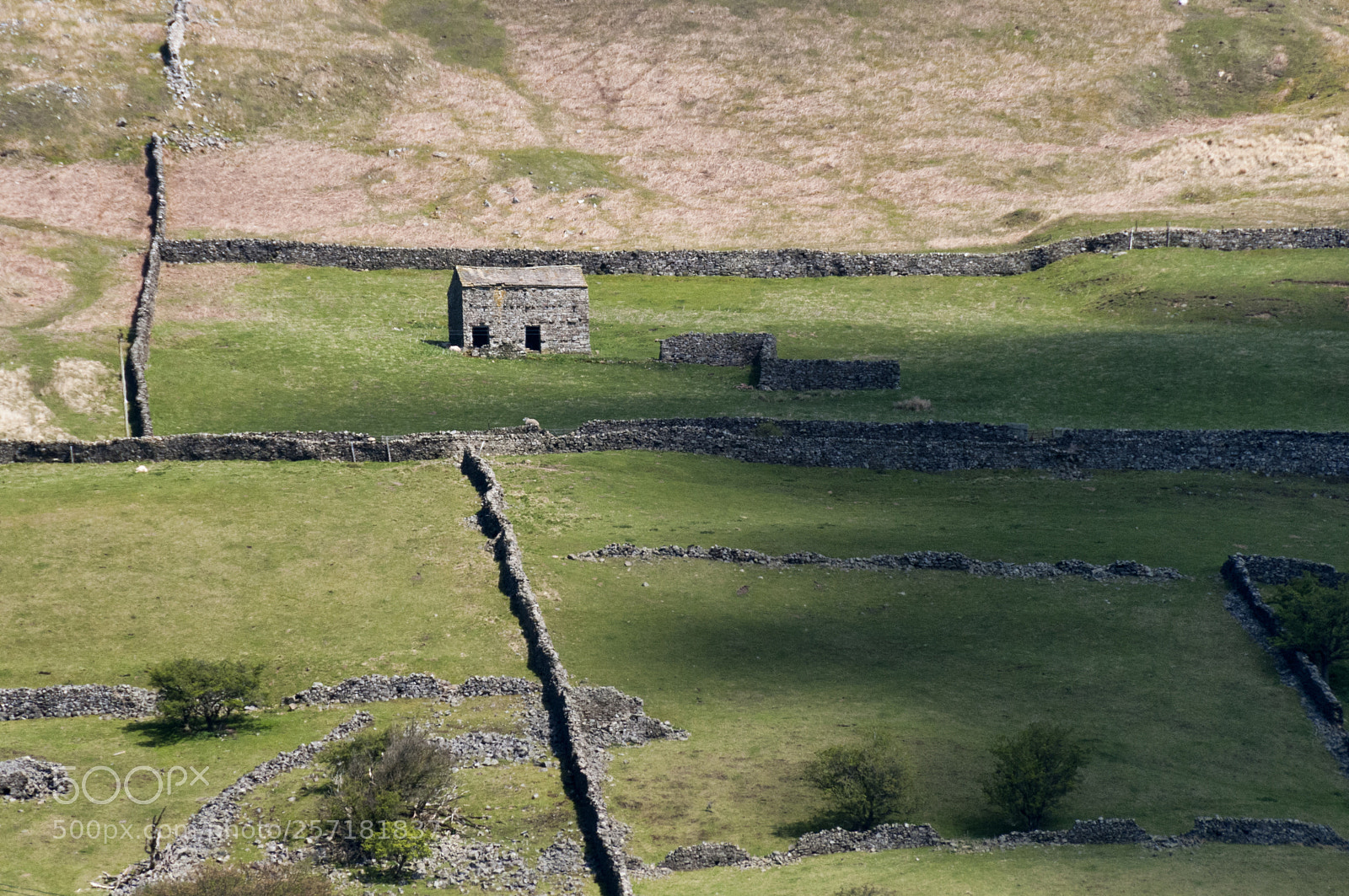 Nikon D300 sample photo. Farmers fields, reeth photography