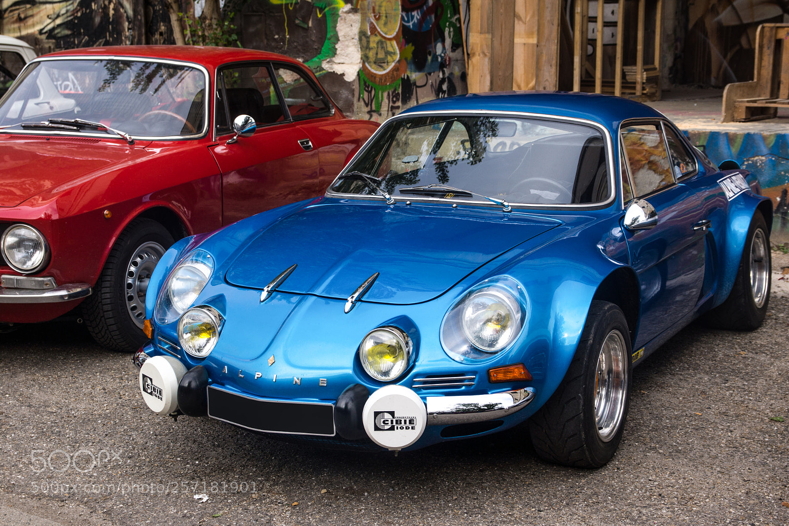 Sony SLT-A77 sample photo. French beast - a110 photography