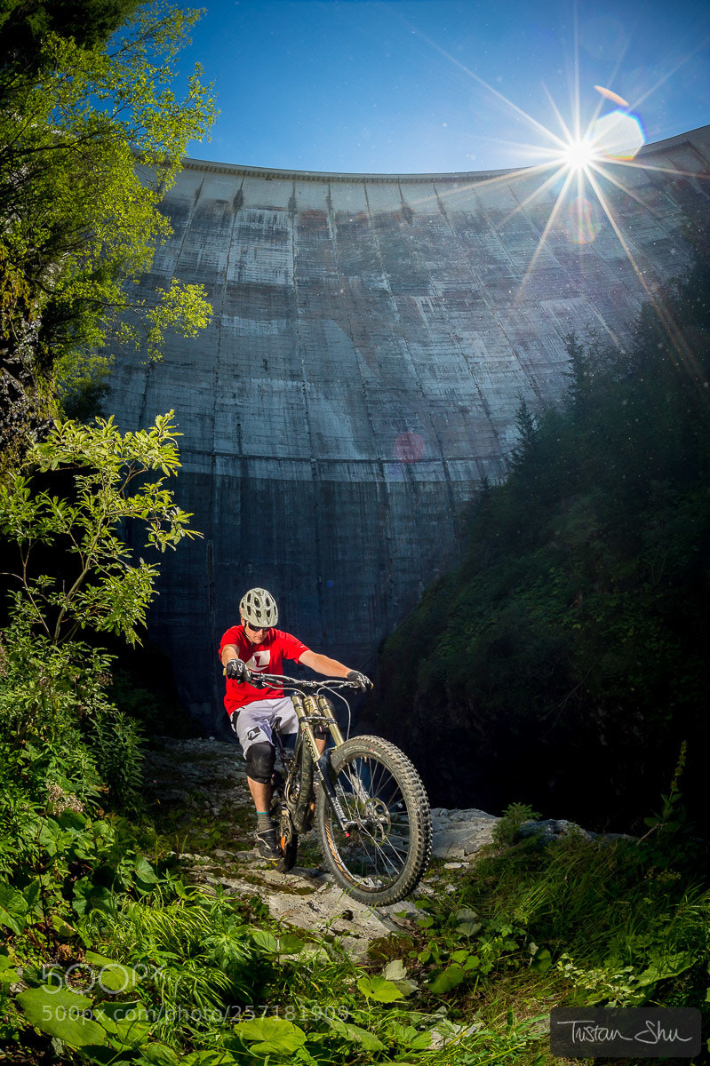 Nikon D4 sample photo. Giants with nick gowan photography