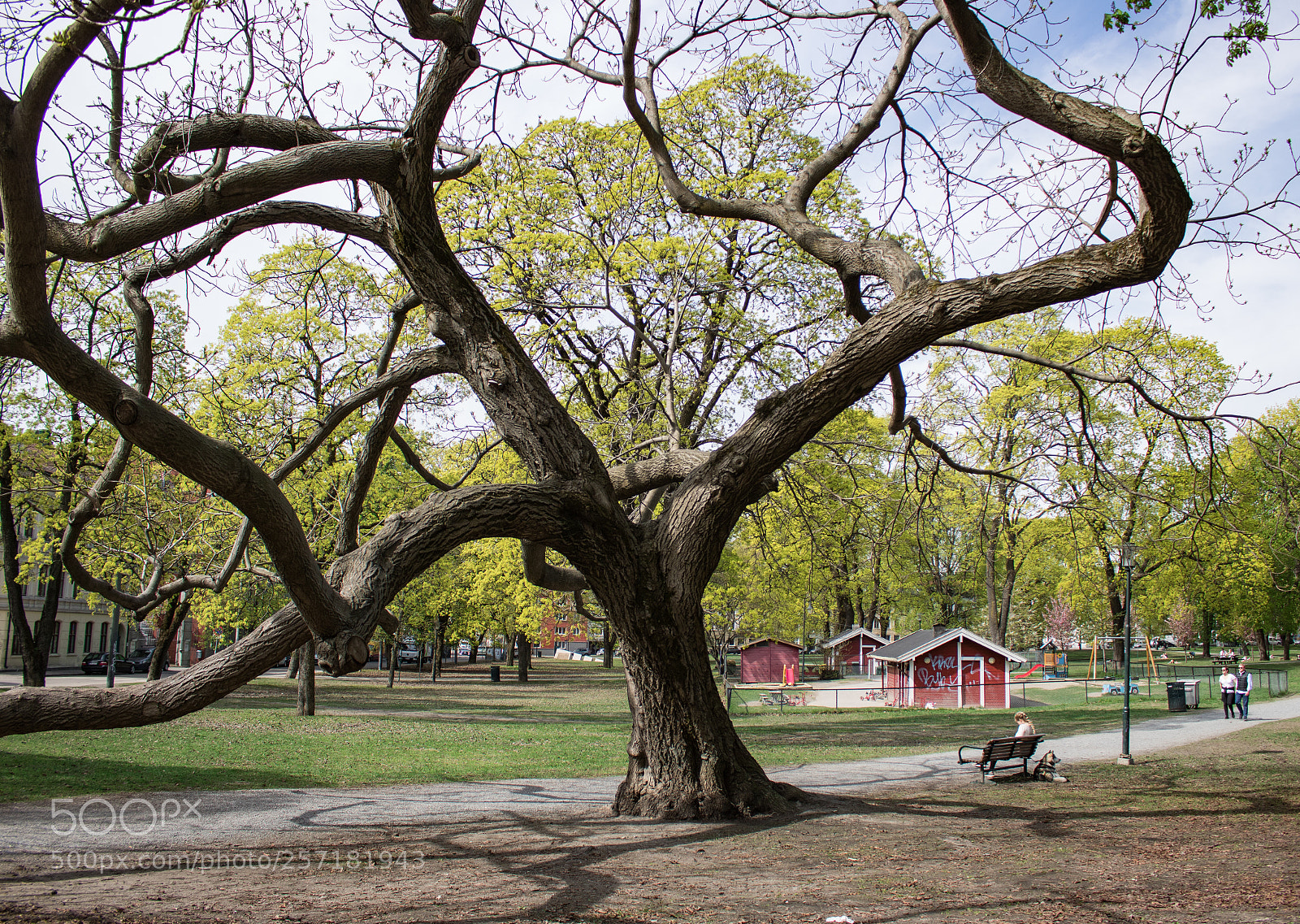 Canon EOS 750D (EOS Rebel T6i / EOS Kiss X8i) sample photo. Img photography