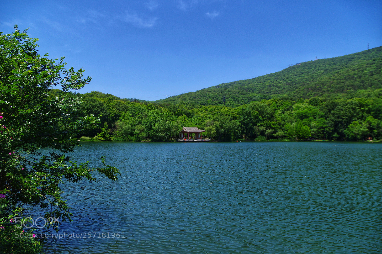 Pentax K-3 II sample photo. Untitled photography