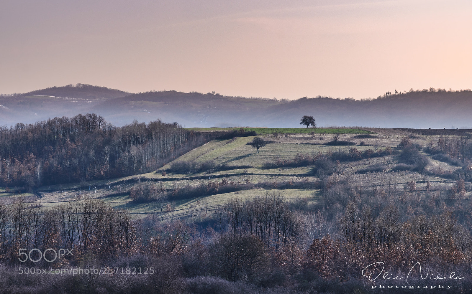 Nikon D7000 sample photo. Silent  valey photography