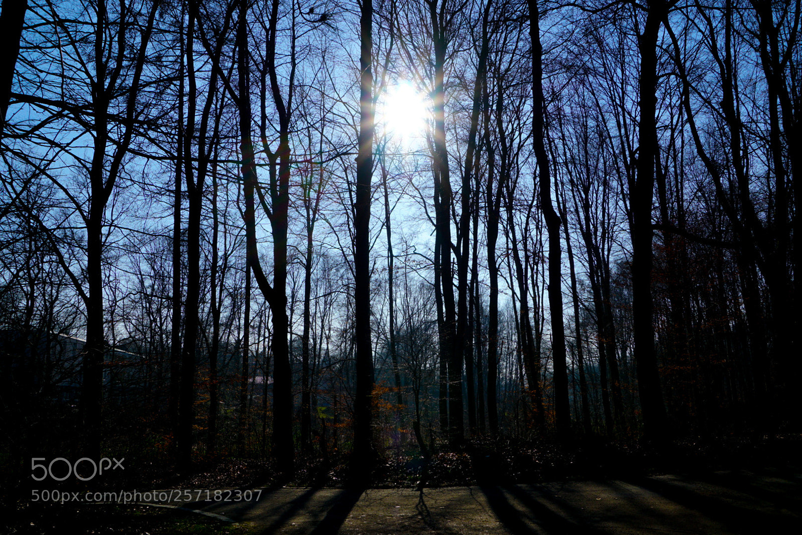 Sony a6000 sample photo. Take a walk in photography