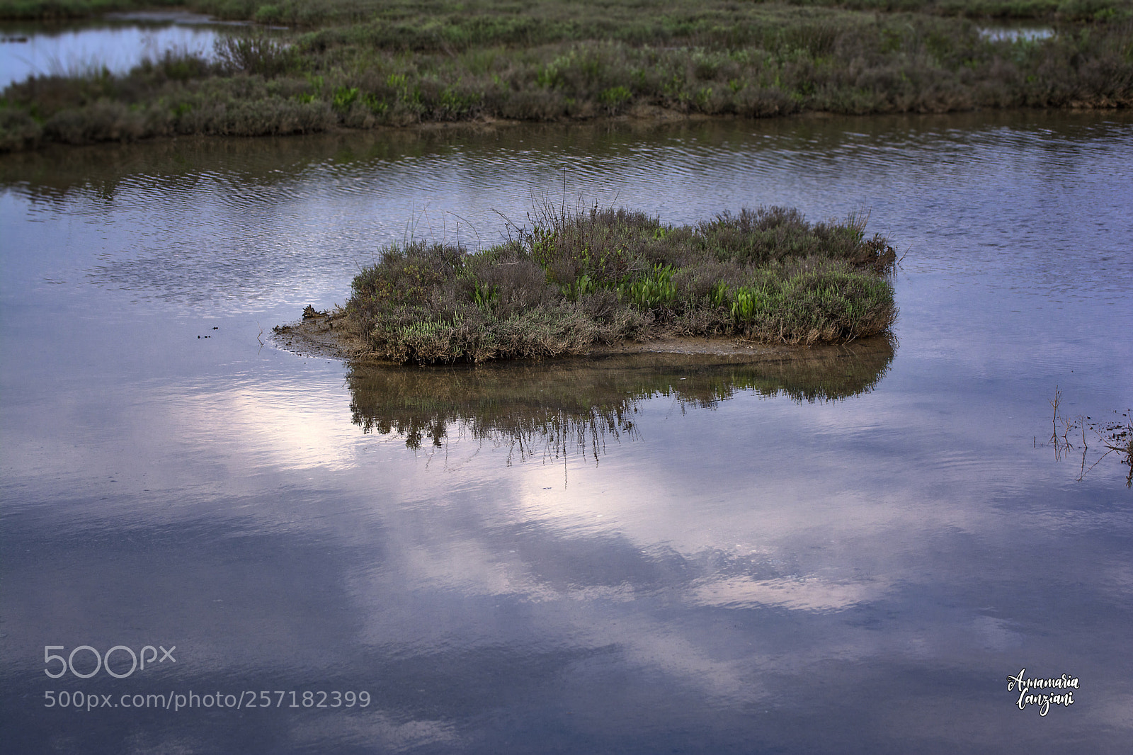 Nikon D5200 sample photo. When nature paints photography