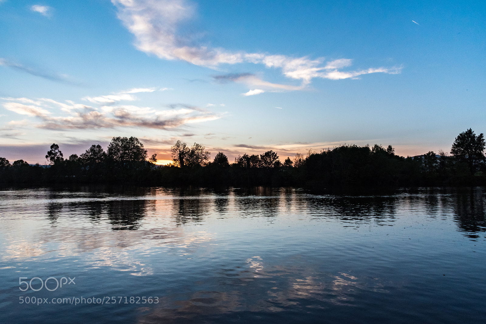 Nikon D750 sample photo. Painting the sky photography