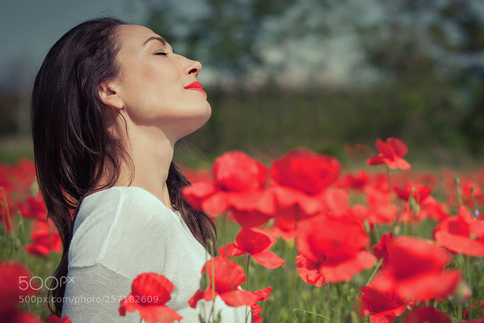 Canon EOS-1Ds Mark III sample photo. Dilya photography