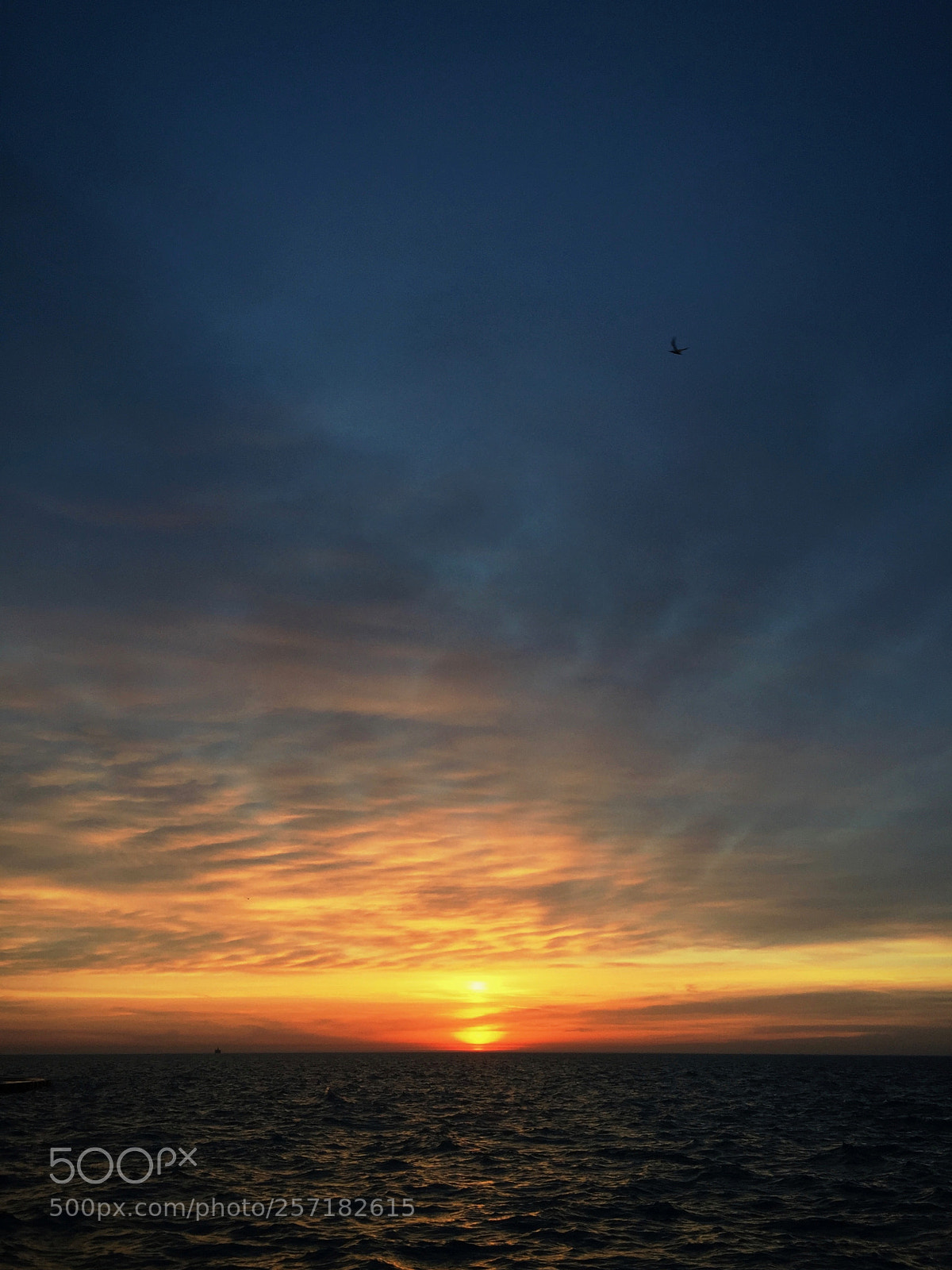 Apple iPhone 6 sample photo. Sunrise over lake micchigan photography