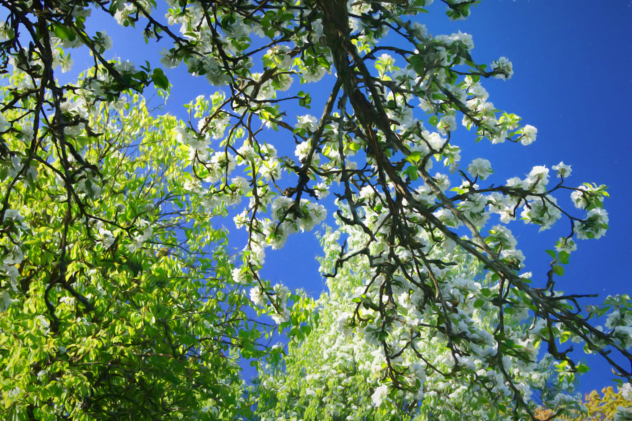 Sony Alpha DSLR-A450 sample photo. Spring photography