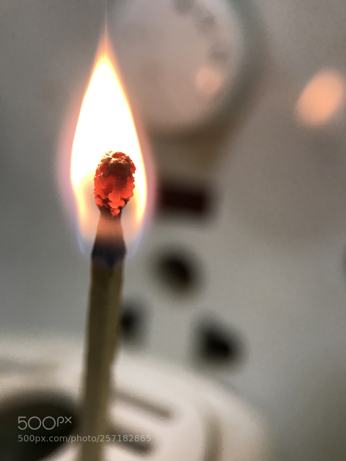 Apple iPhone 7 sample photo. Micro photography  photography
