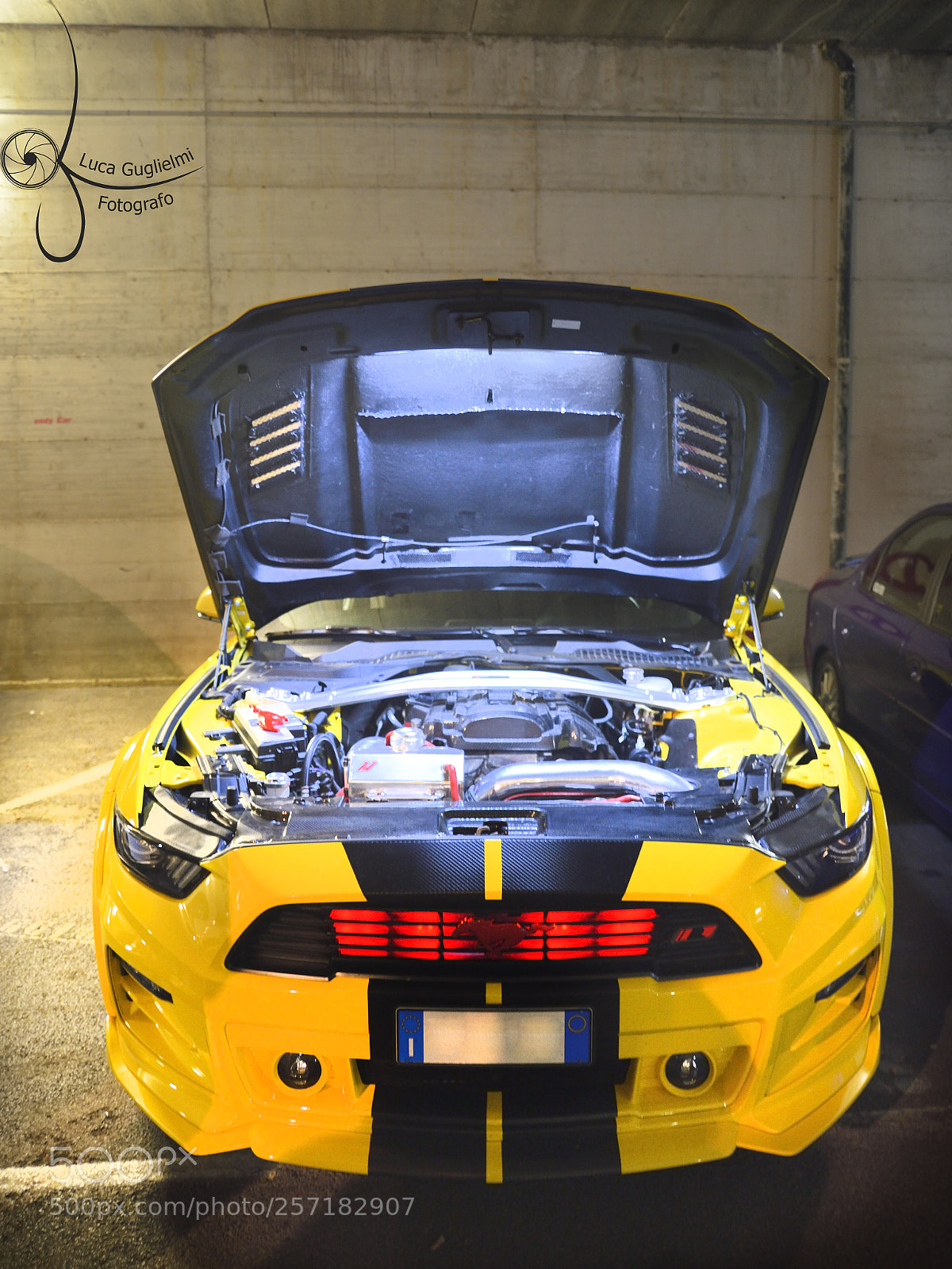 Nikon D600 sample photo. Copia photography