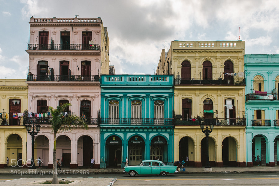 Nikon Df sample photo. Classic havana photography