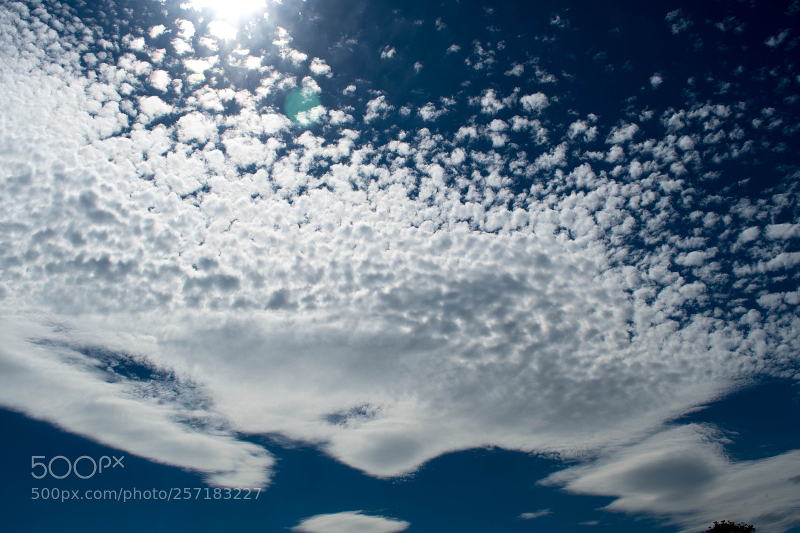 Nikon D7500 sample photo. Untitled photography