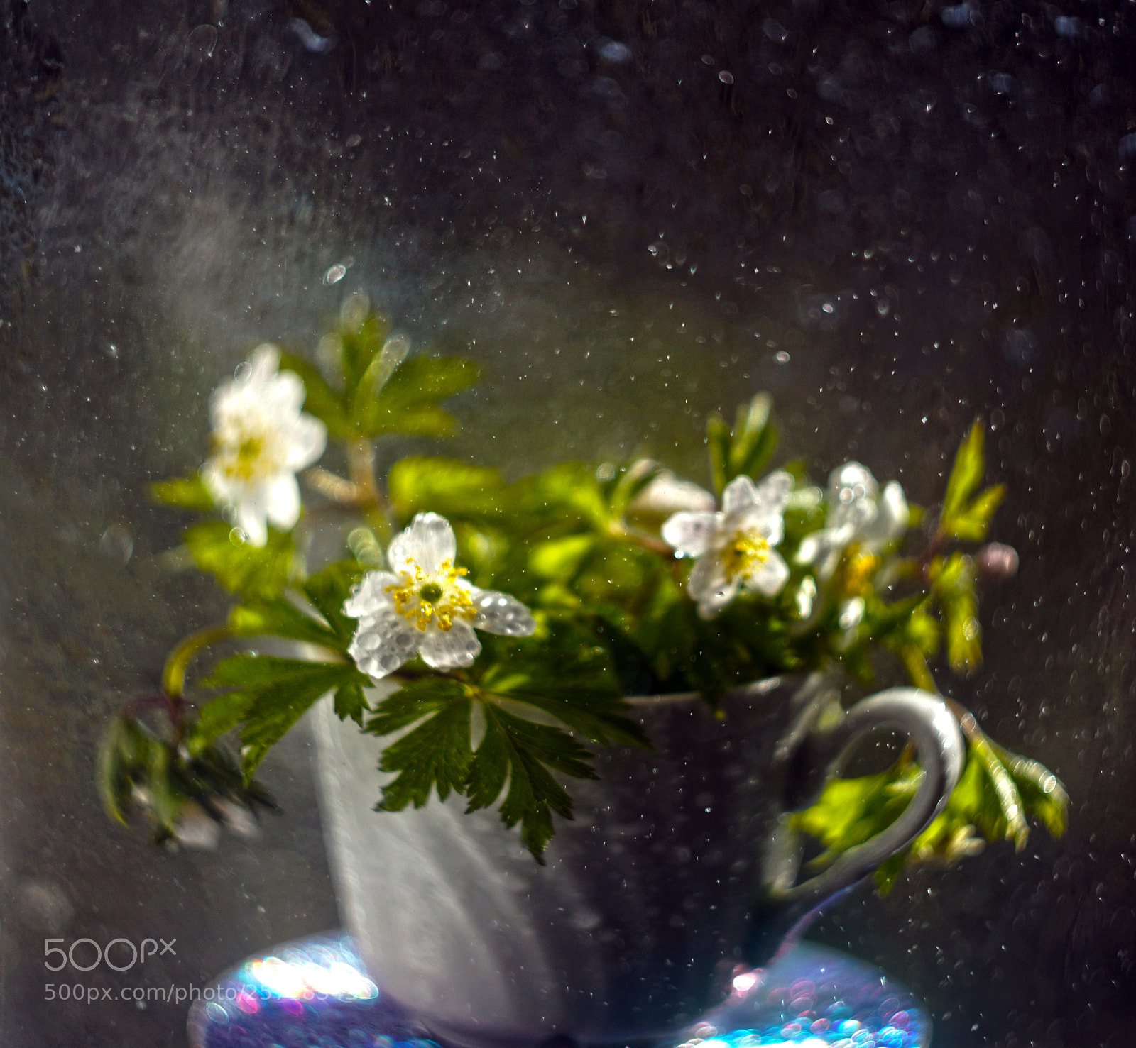 Sony SLT-A65 (SLT-A65V) sample photo. Панорама без названия photography
