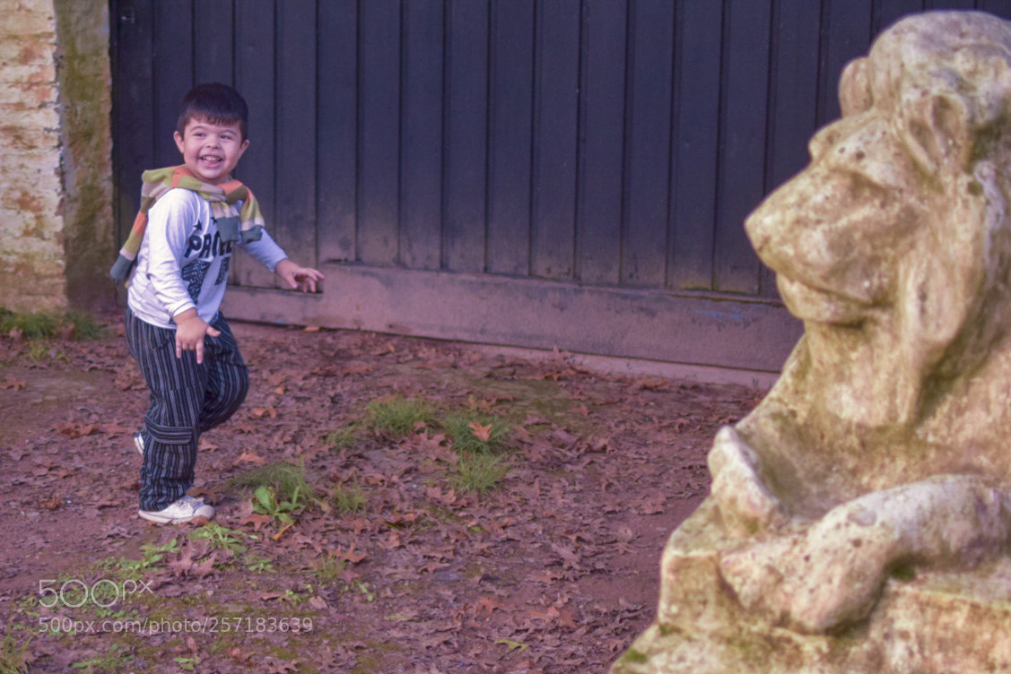 Nikon D5300 sample photo. Untitled photography