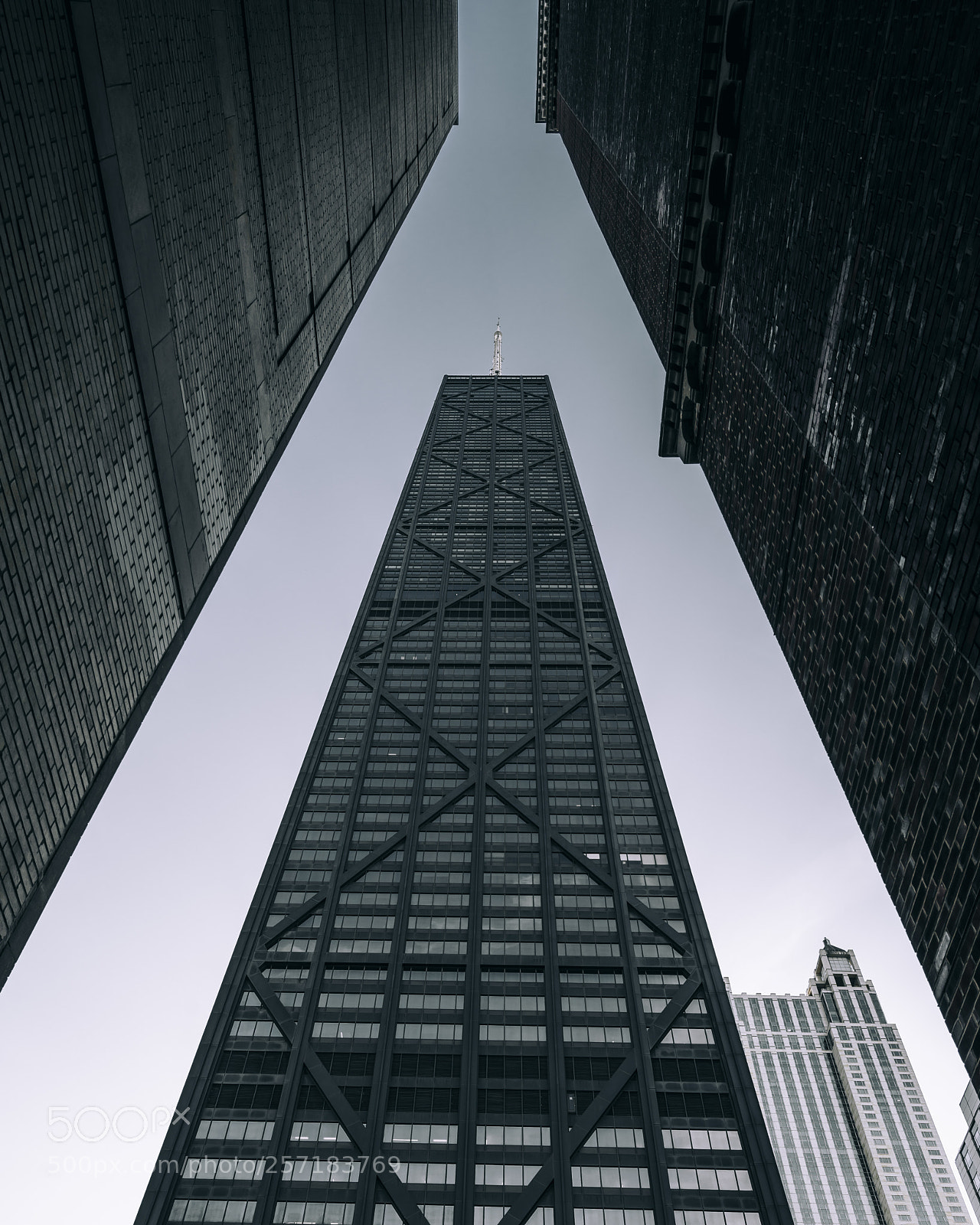 Sony a7R III sample photo. Looking up photography