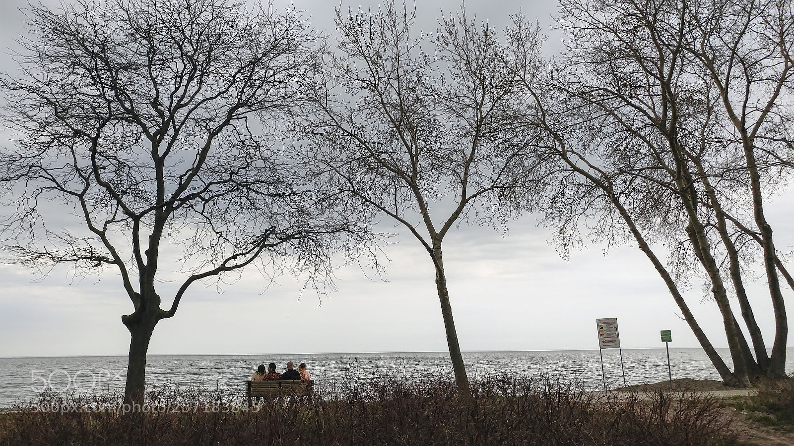 LG G5 sample photo. Coupled by the lake photography