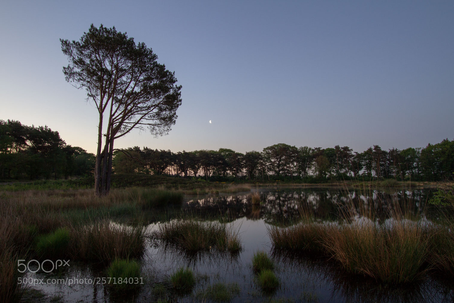 Canon EOS 7D sample photo. Hatertse vennen photography