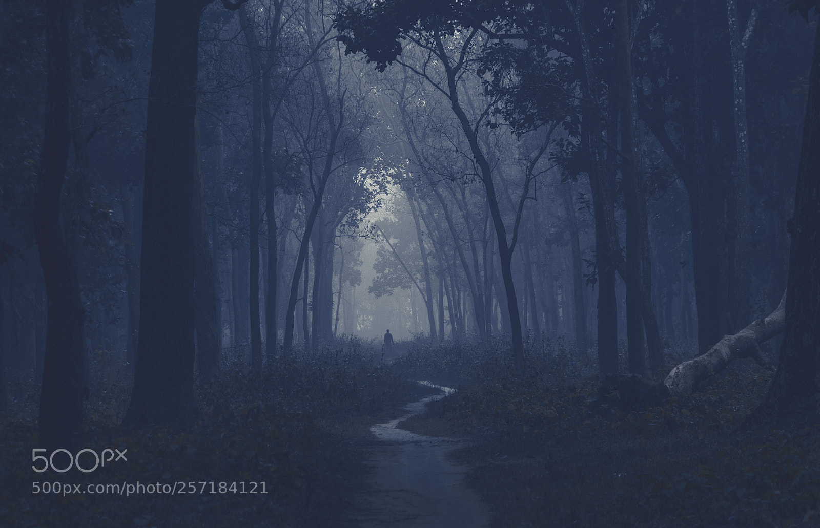Canon EOS 70D sample photo. The ghost photography