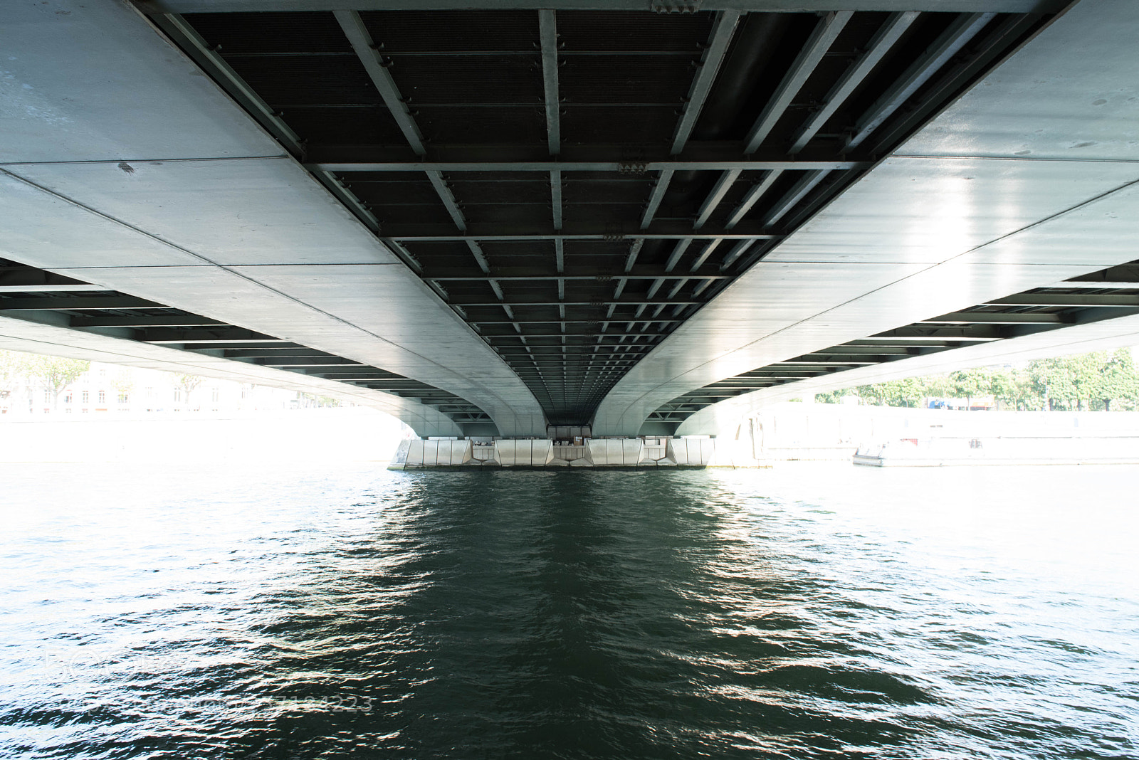 Nikon D750 sample photo. Les ponts de paris photography