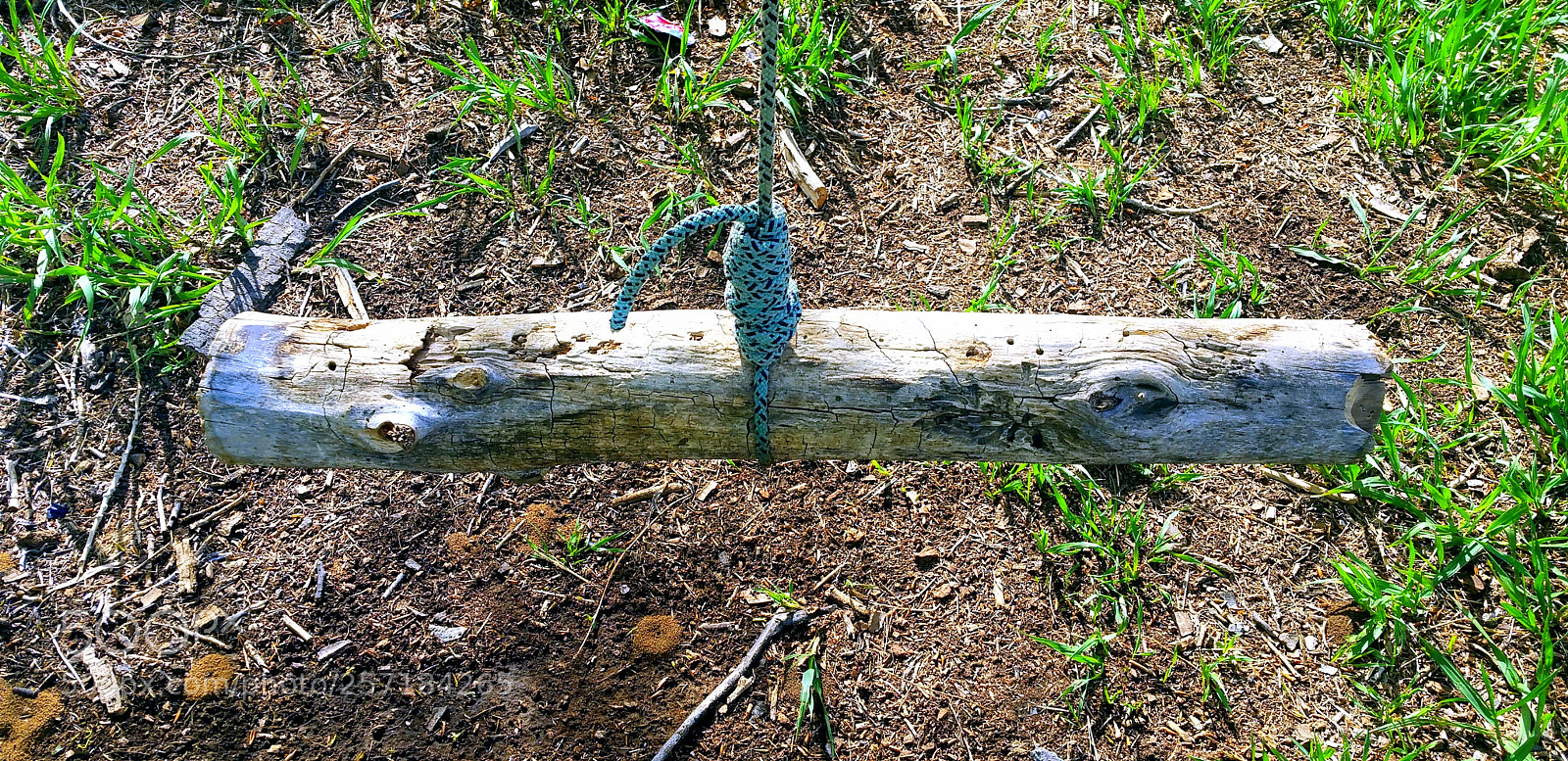 Samsung Galaxy Note4 sample photo. I'll push (tree swing) photography