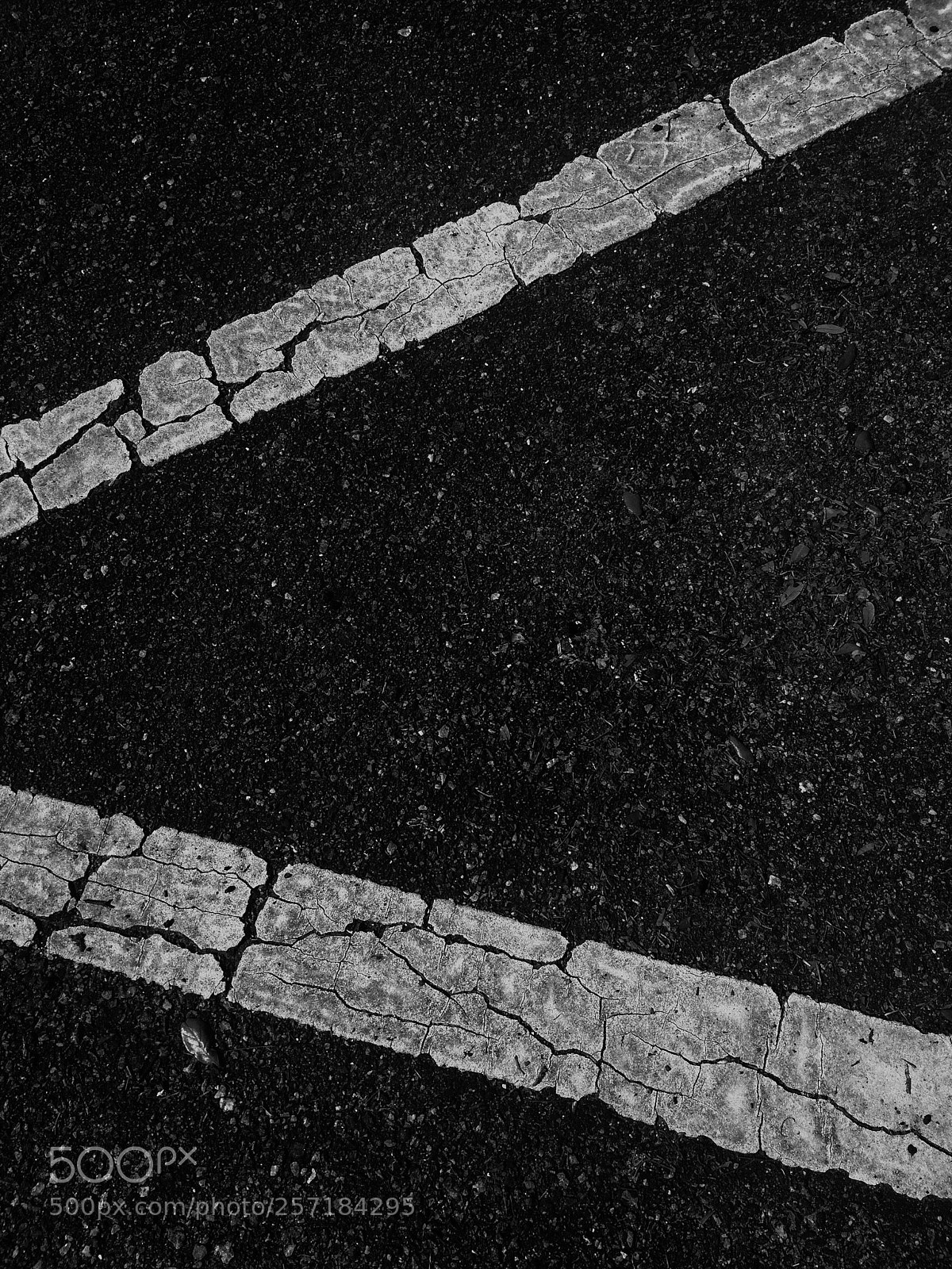 Apple iPhone 5s sample photo. B&w pavement  photography