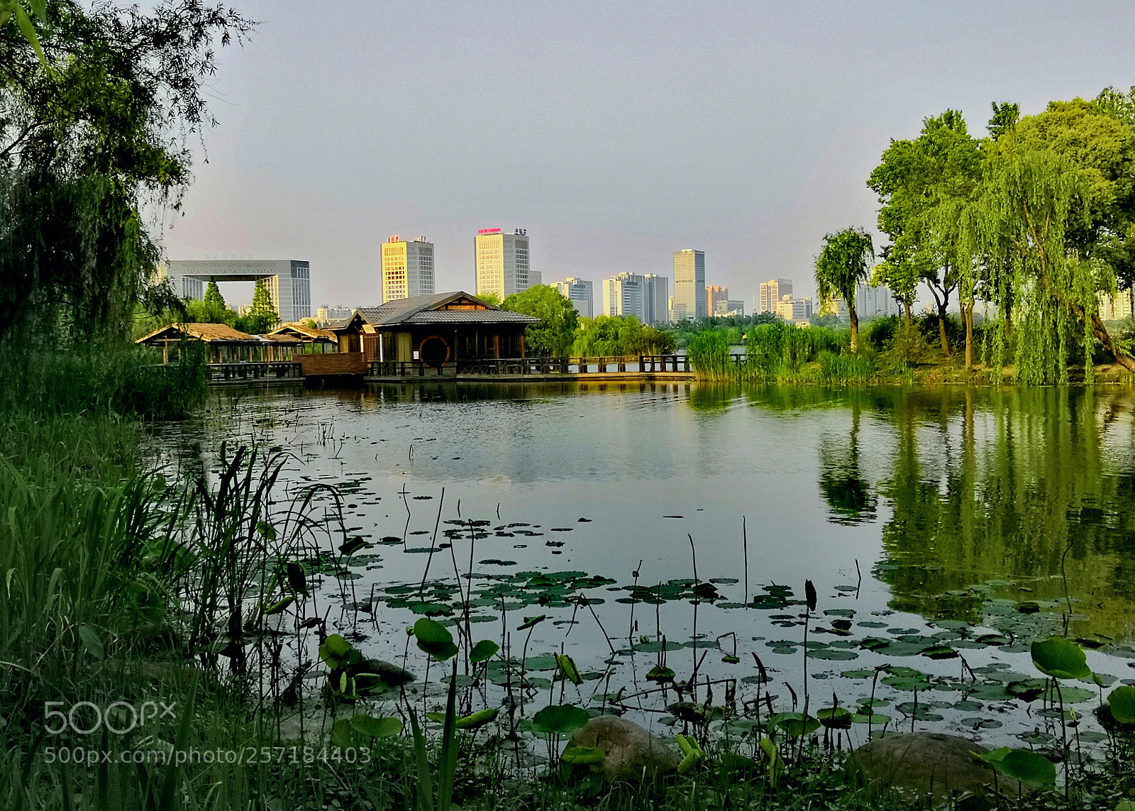 HUAWEI Honor 10 sample photo. Lakeside photography