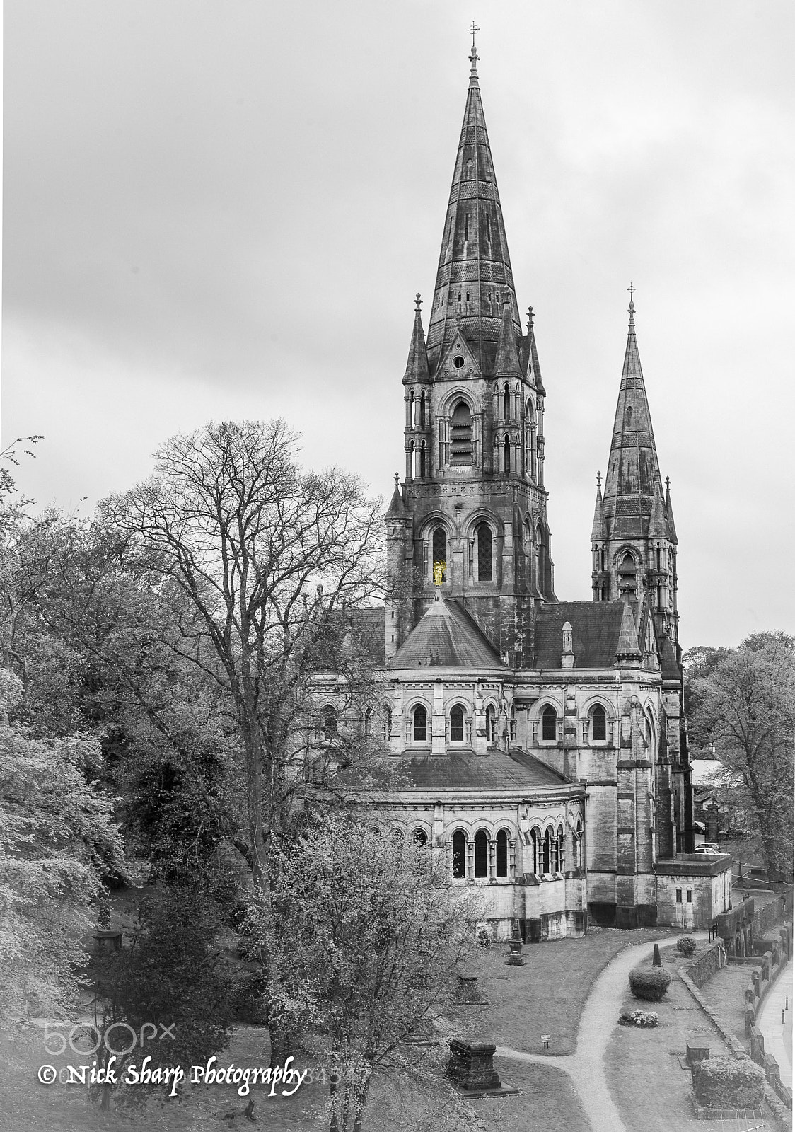 Nikon D750 sample photo. Nick sharp photography photography
