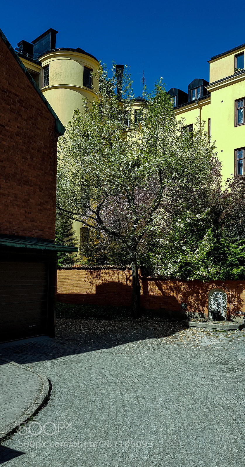 Samsung Galaxy S8 sample photo. East riverstreet backyard. photography