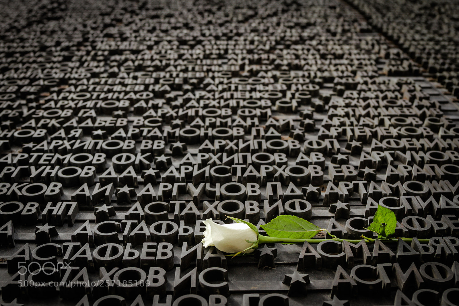 Canon EOS 7D sample photo. Memorial photography
