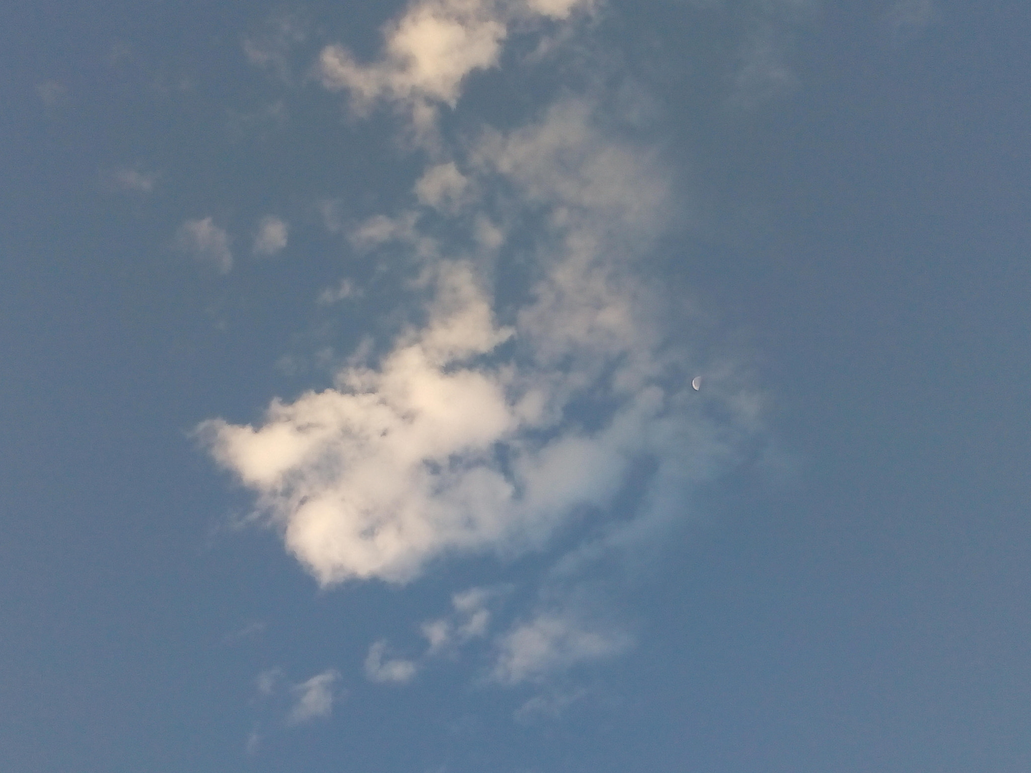 Motorola Moto E (4) Plus sample photo