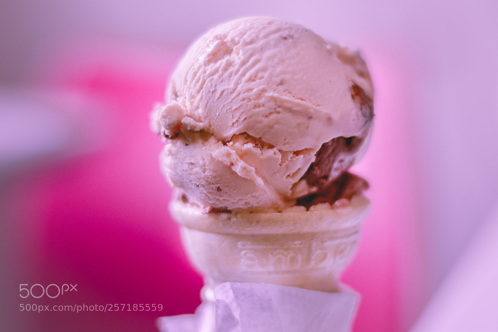 Nikon D5600 sample photo. Yum yum photography