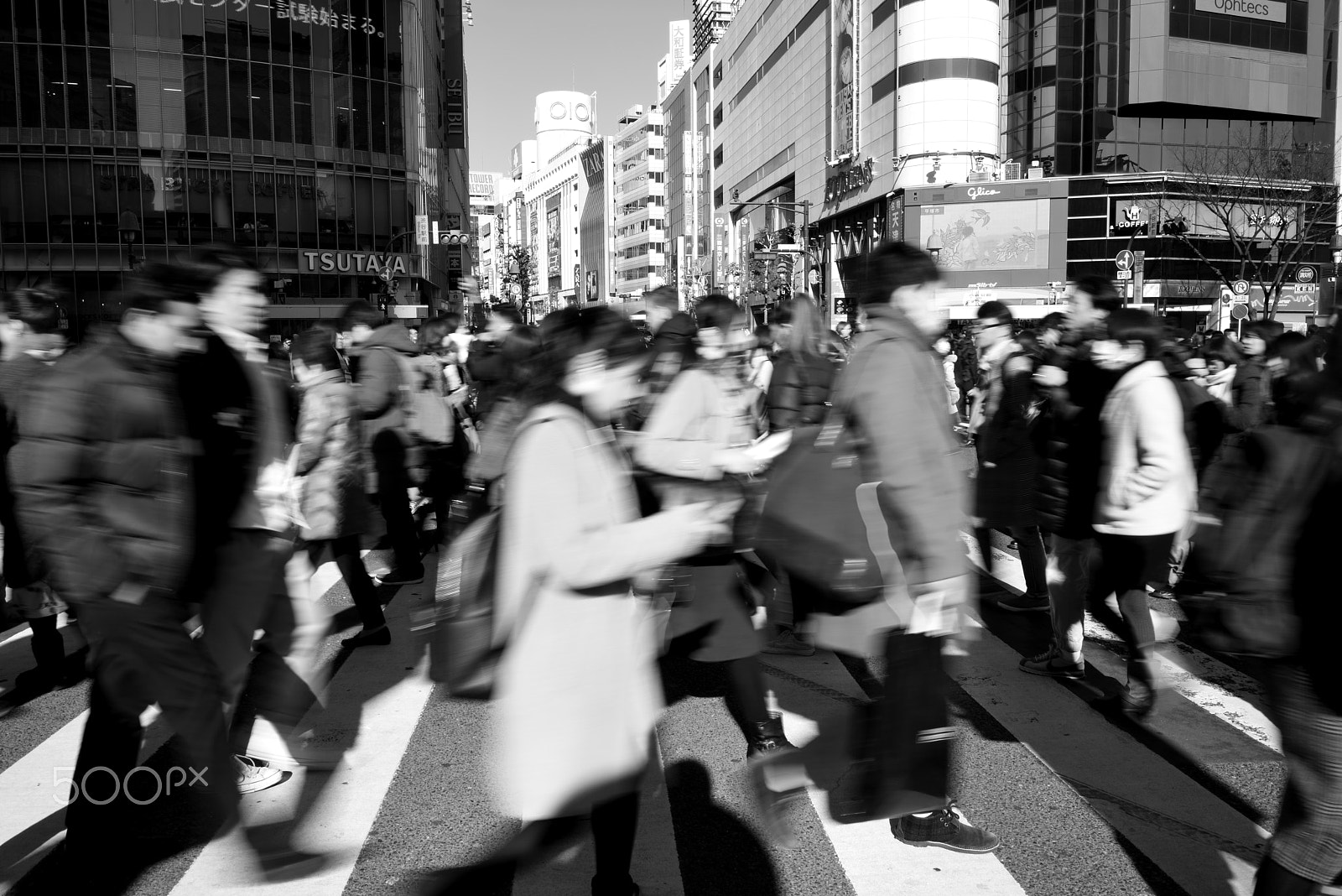 Nikon D810 sample photo. Shibuya crossing in motion photography